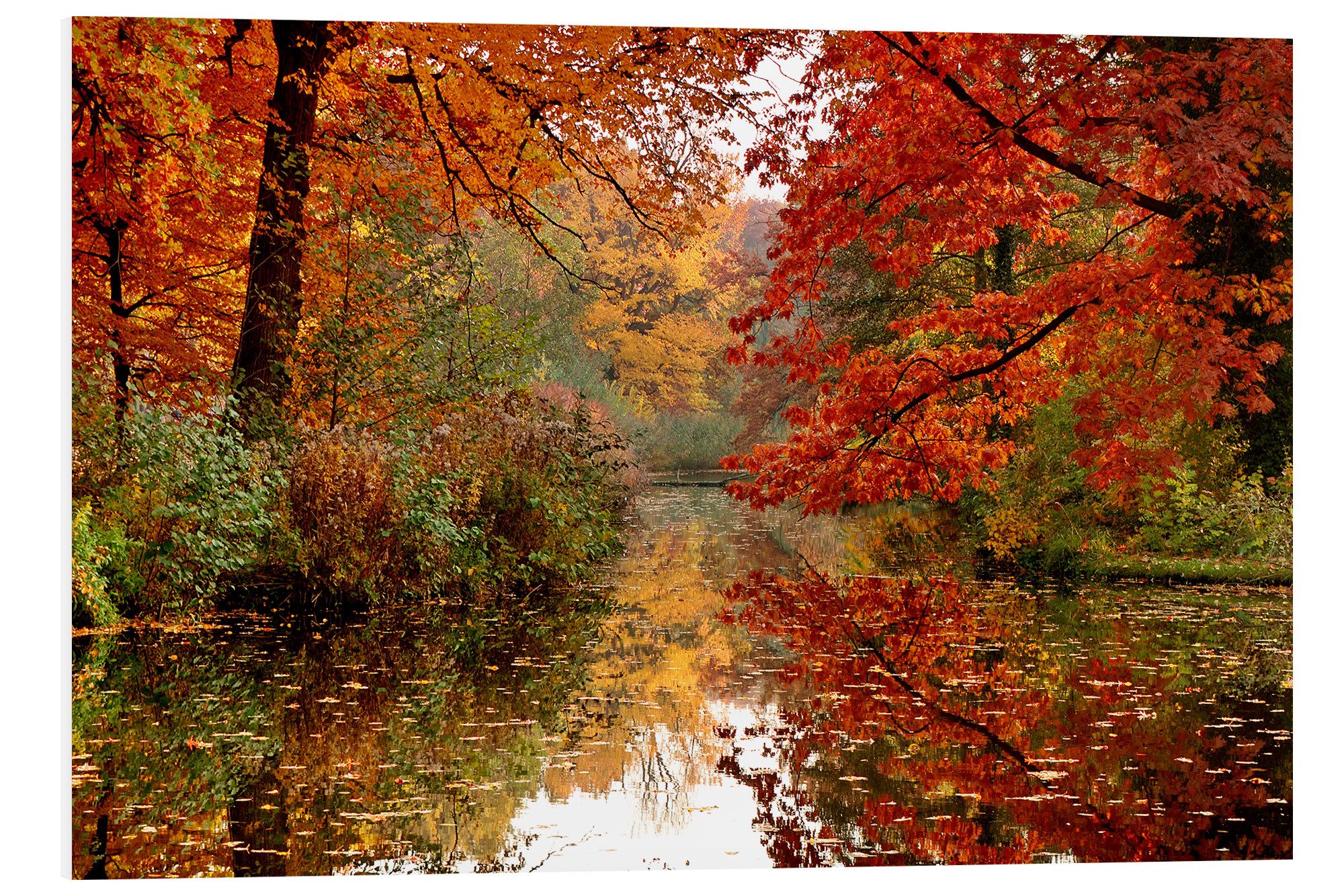 Forex-Bild Atteloi