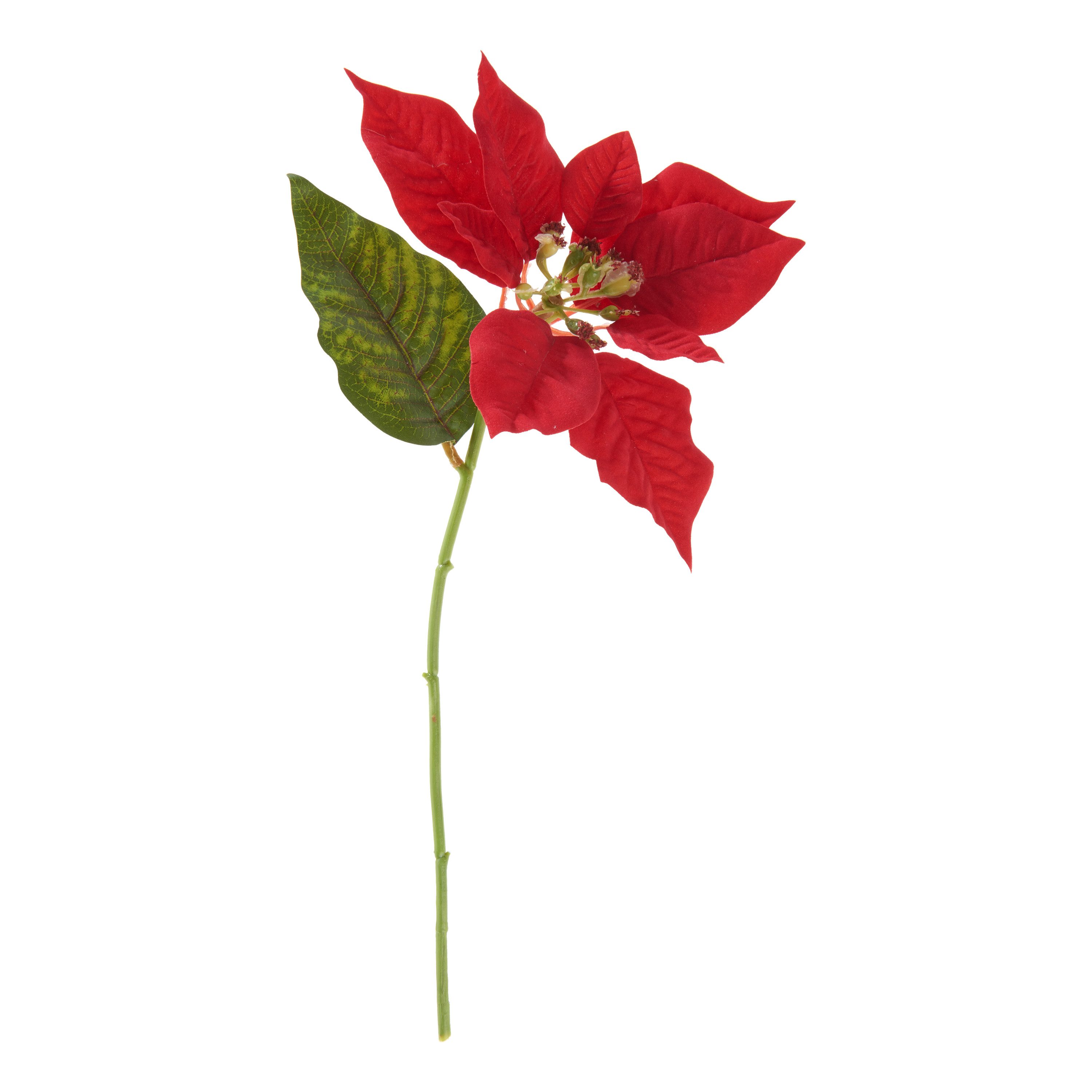 Kunstblume Weihnachtsstern Blüte