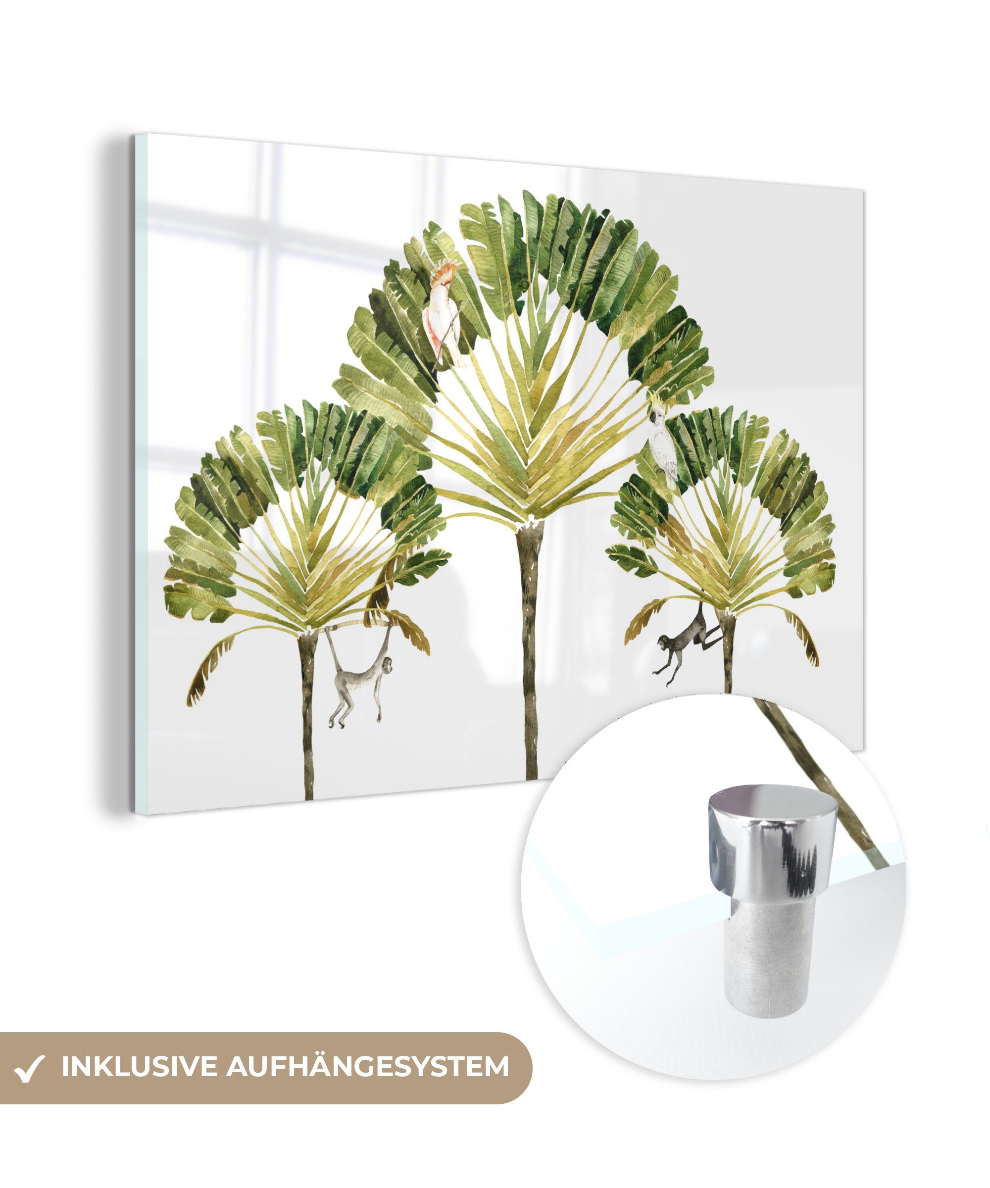 - Schlafzimmer & Wohnzimmer St), Acrylglasbilder Kakadu Baum, - MuchoWow (1 Dschungel Acrylglasbild