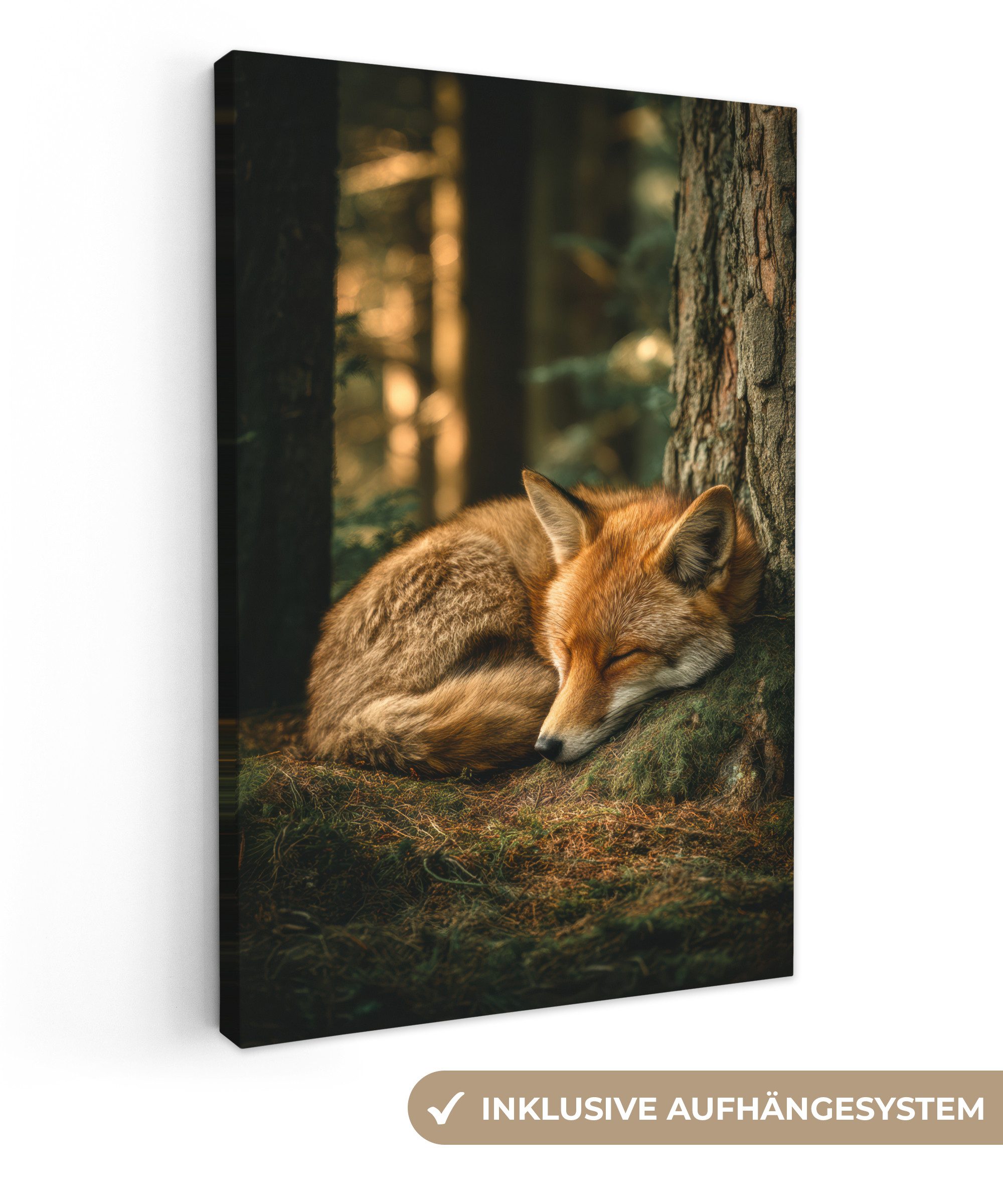 OneMillionCanvasses® Leinwandbild Fuchs - Wald - günstig online kaufen