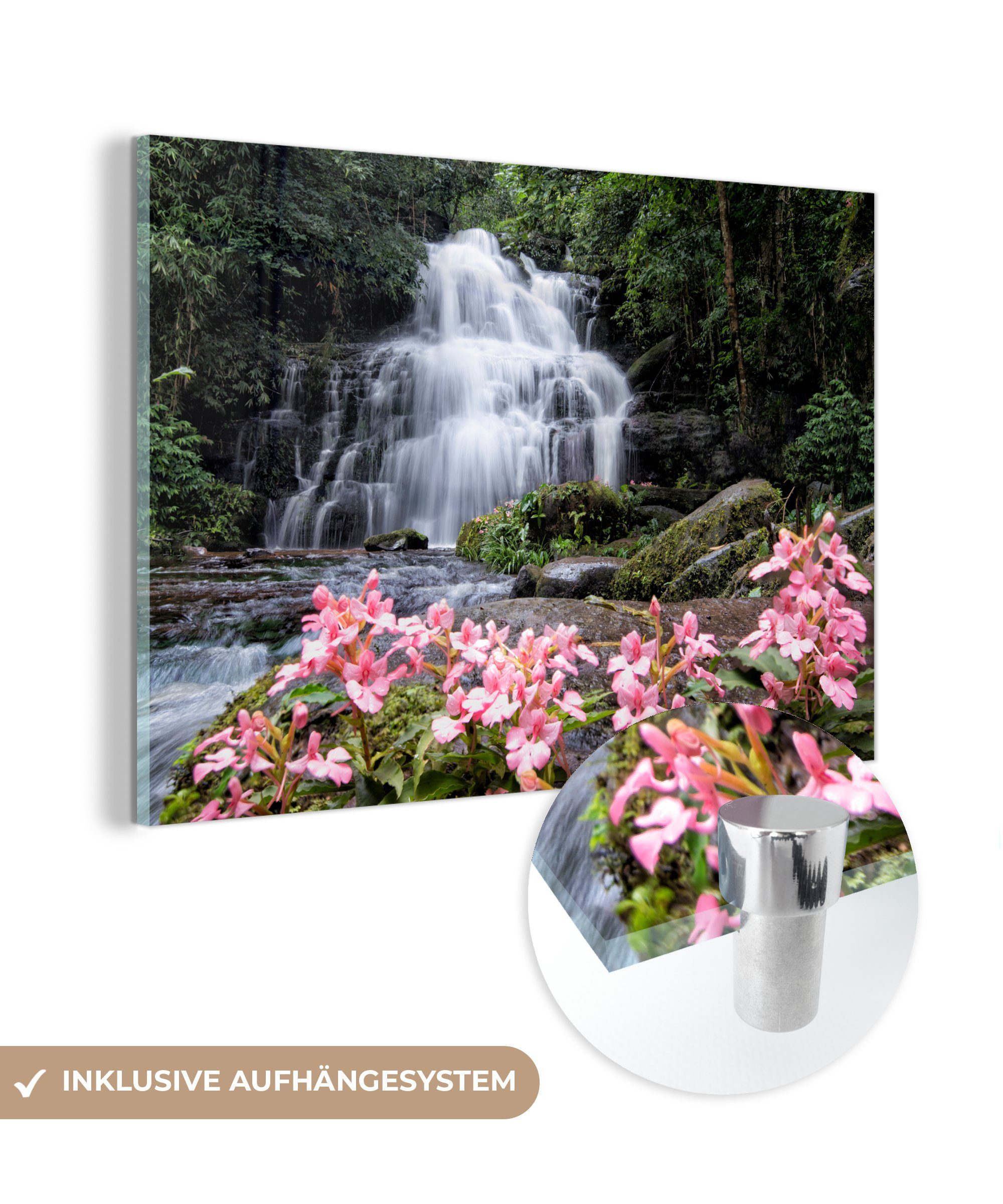 MuchoWow Acrylglasbild vor im Wohnzimmer Wasserfall & wachsen Rosa Acrylglasbilder (1 Phu Löwenmäulchenblüten Schlafzimmer einem Rong, St), Hin