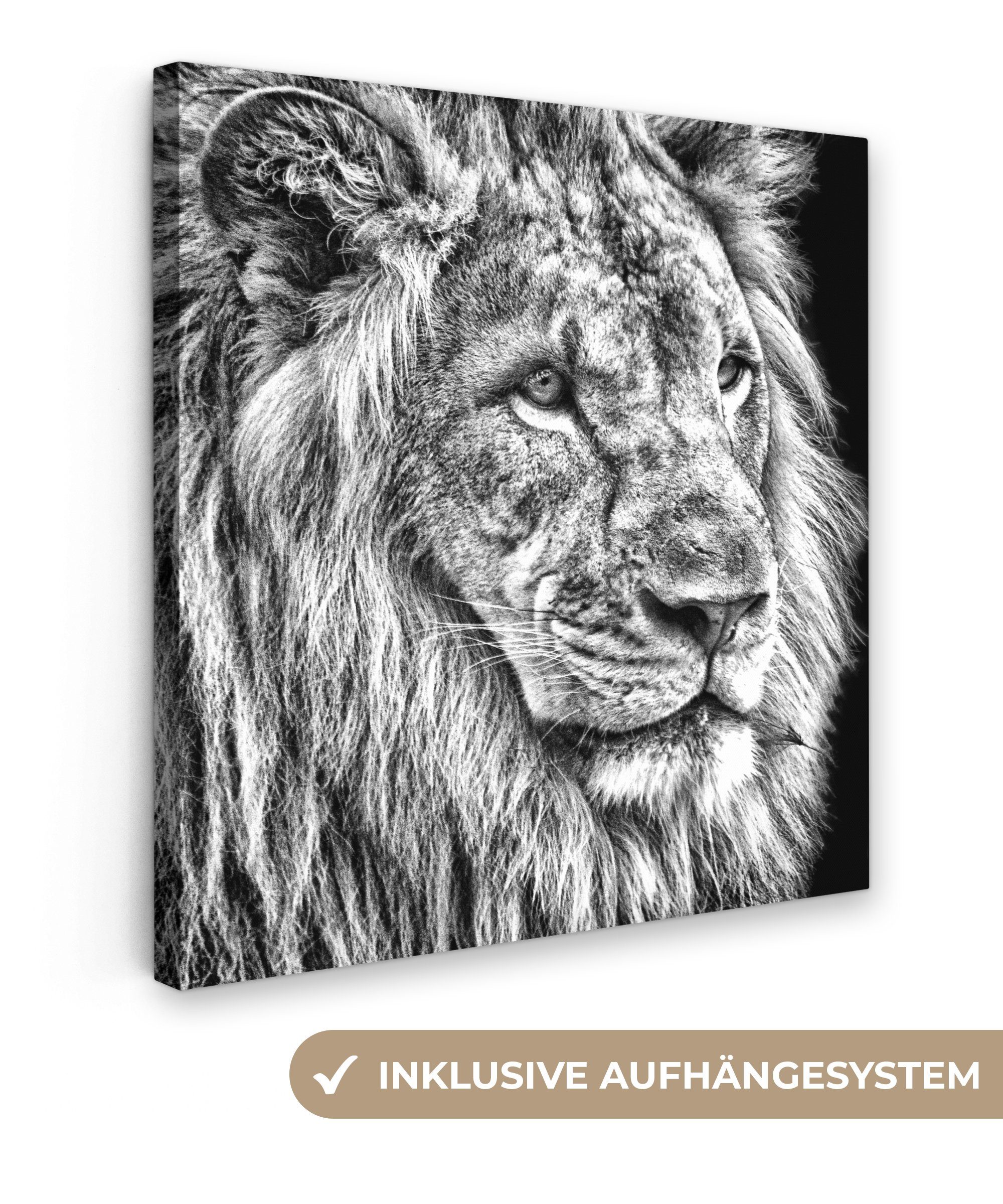 OneMillionCanvasses® Leinwandbild Porträt - Löwe - günstig online kaufen