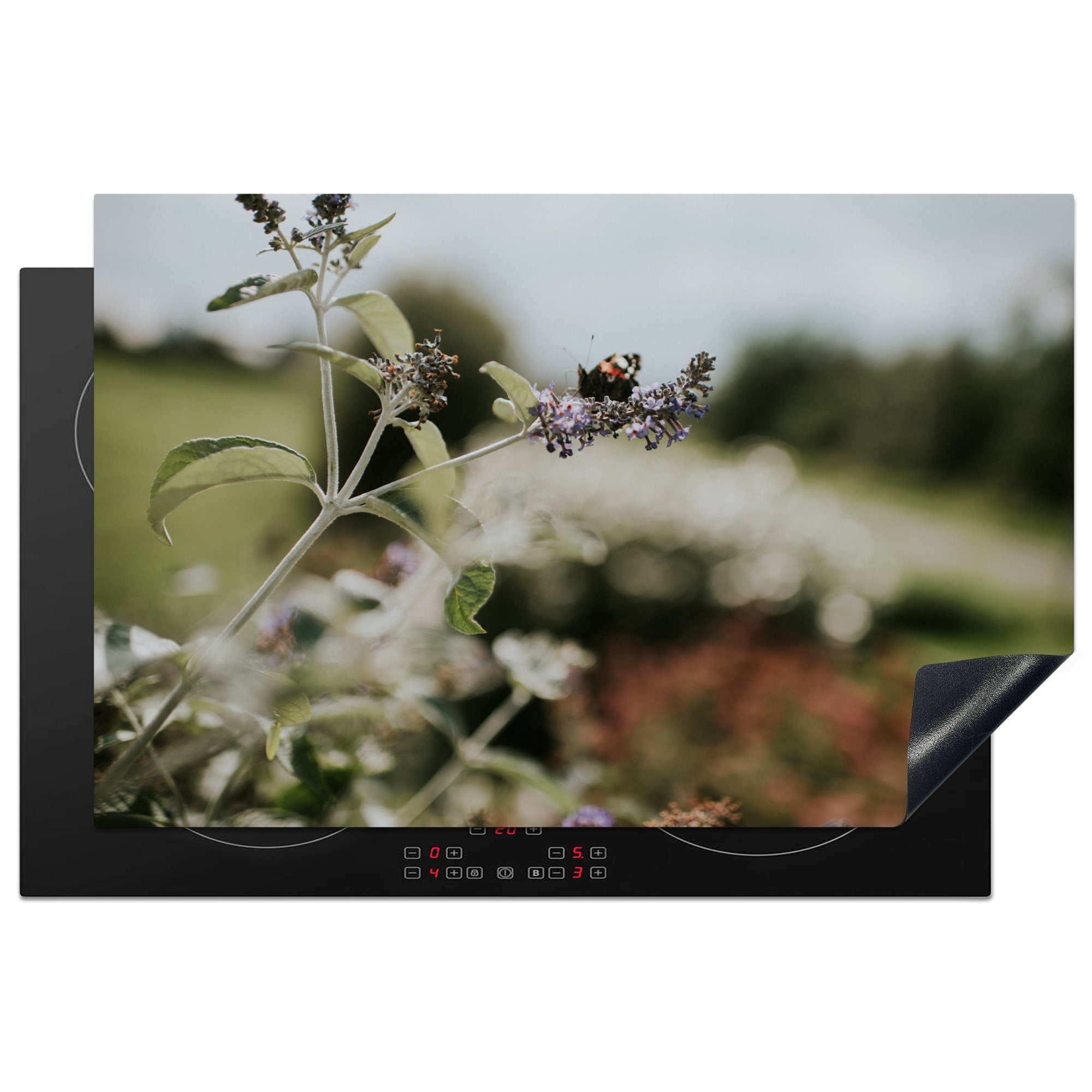MuchoWow Herdblende-/Abdeckplatte Tagpfauenauge Schmetterling auf Lavendel, Vinyl, (1 tlg), 81x52 cm, Induktionskochfeld Schutz für die küche, Ceranfeldabdeckung