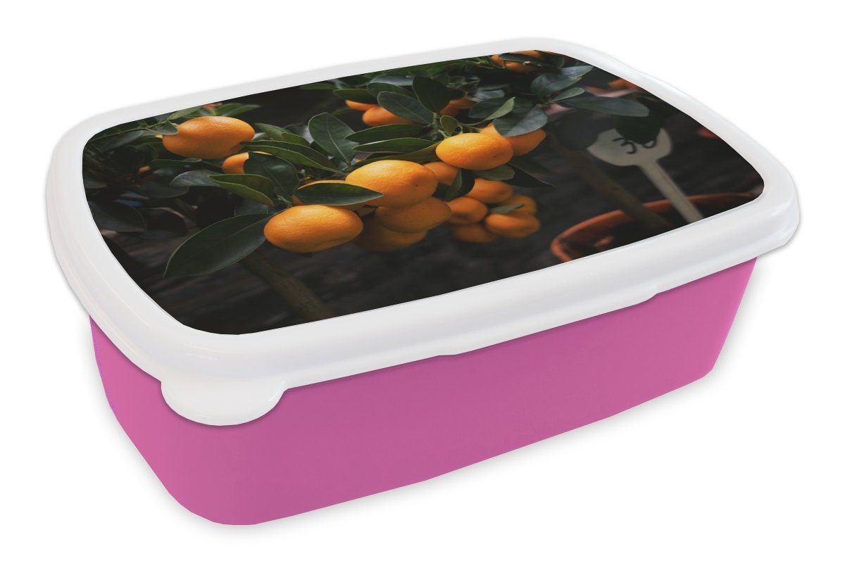 Mädchen, für MuchoWow - - Brotbox Kunststoff, rosa Erwachsene, Kinder, Orange Snackbox, Brotdose (2-tlg), Kunststoff Baum, Lunchbox Obst