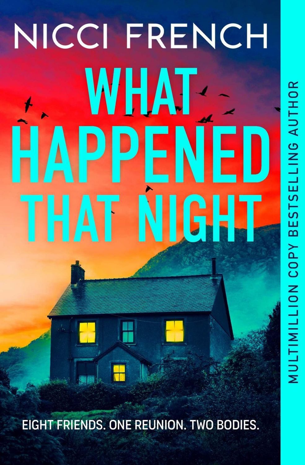 What Happened that Night / Nicci French