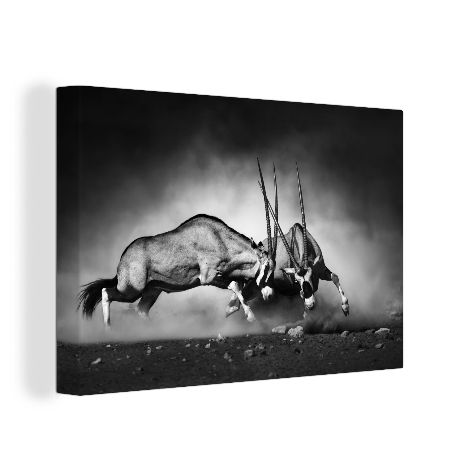 OneMillionCanvasses® Leinwandbild Antilope - Schwarz und weiß - Porträt - Wildtiere - Tiere, (1 St), Wandbild für alle Wohnbereiche, Gemälde, XXL, großes, 120x80 cm