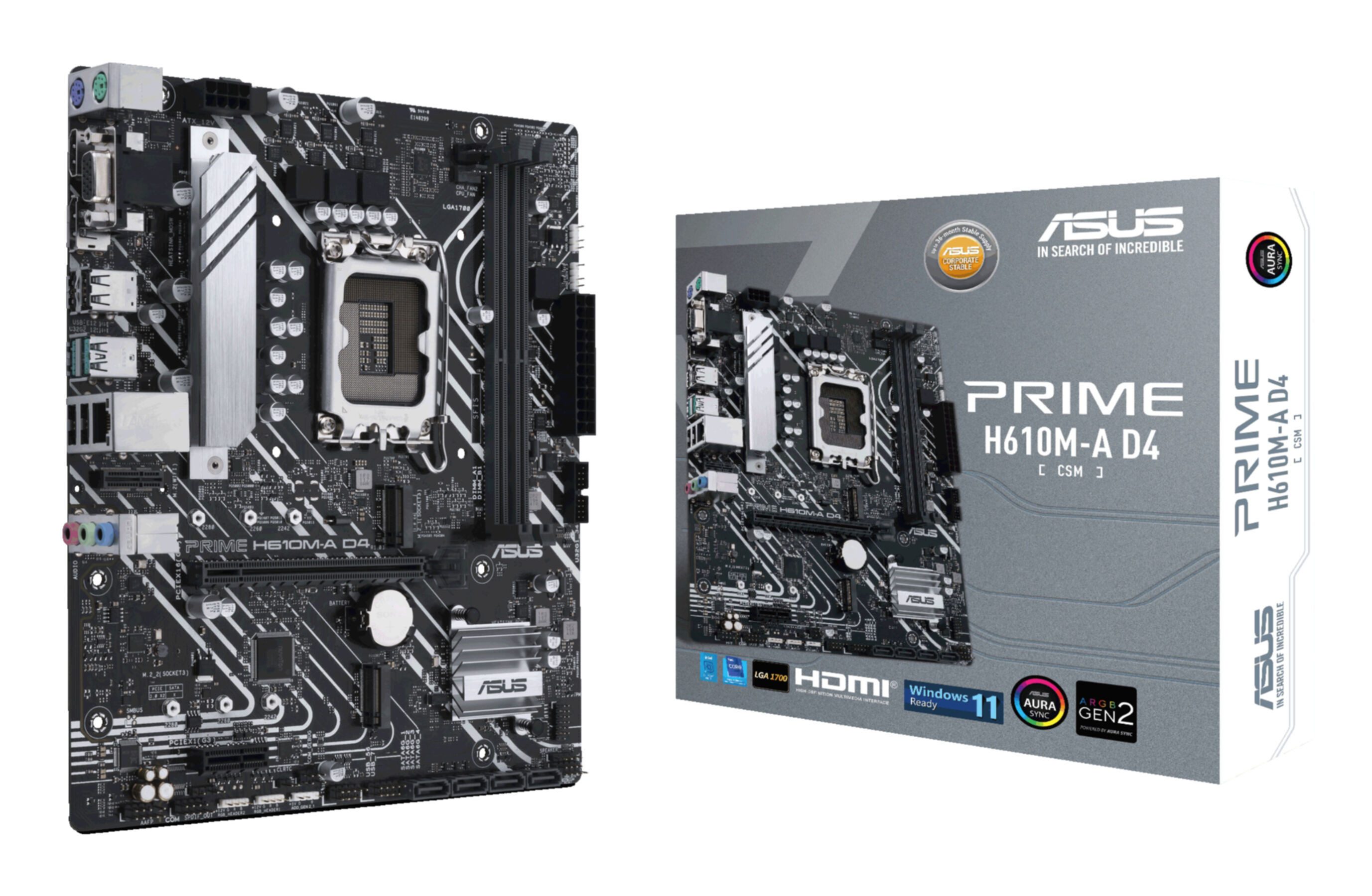 Asus PRIME H610M-A D4-CSM Mainboard