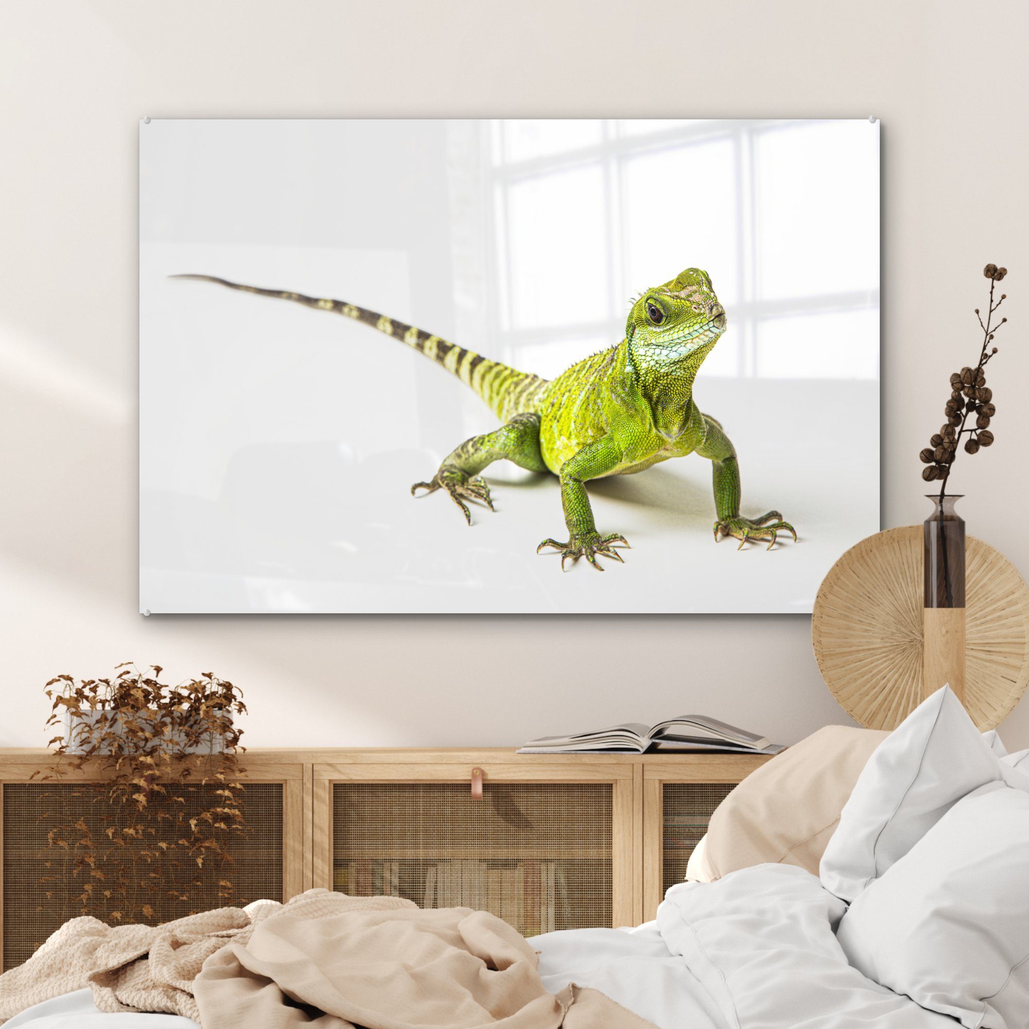 Acrylglasbilder MuchoWow Wohnzimmer - Weiß, Schlafzimmer - St), & Reptil (1 Eidechse Acrylglasbild