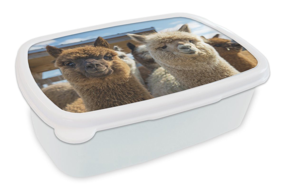 MuchoWow Lunchbox Alpaka - Fröhlich - Braun - Weiß, Kunststoff, (2-tlg), Brotbox für Kinder und Erwachsene, Brotdose, für Jungs und Mädchen