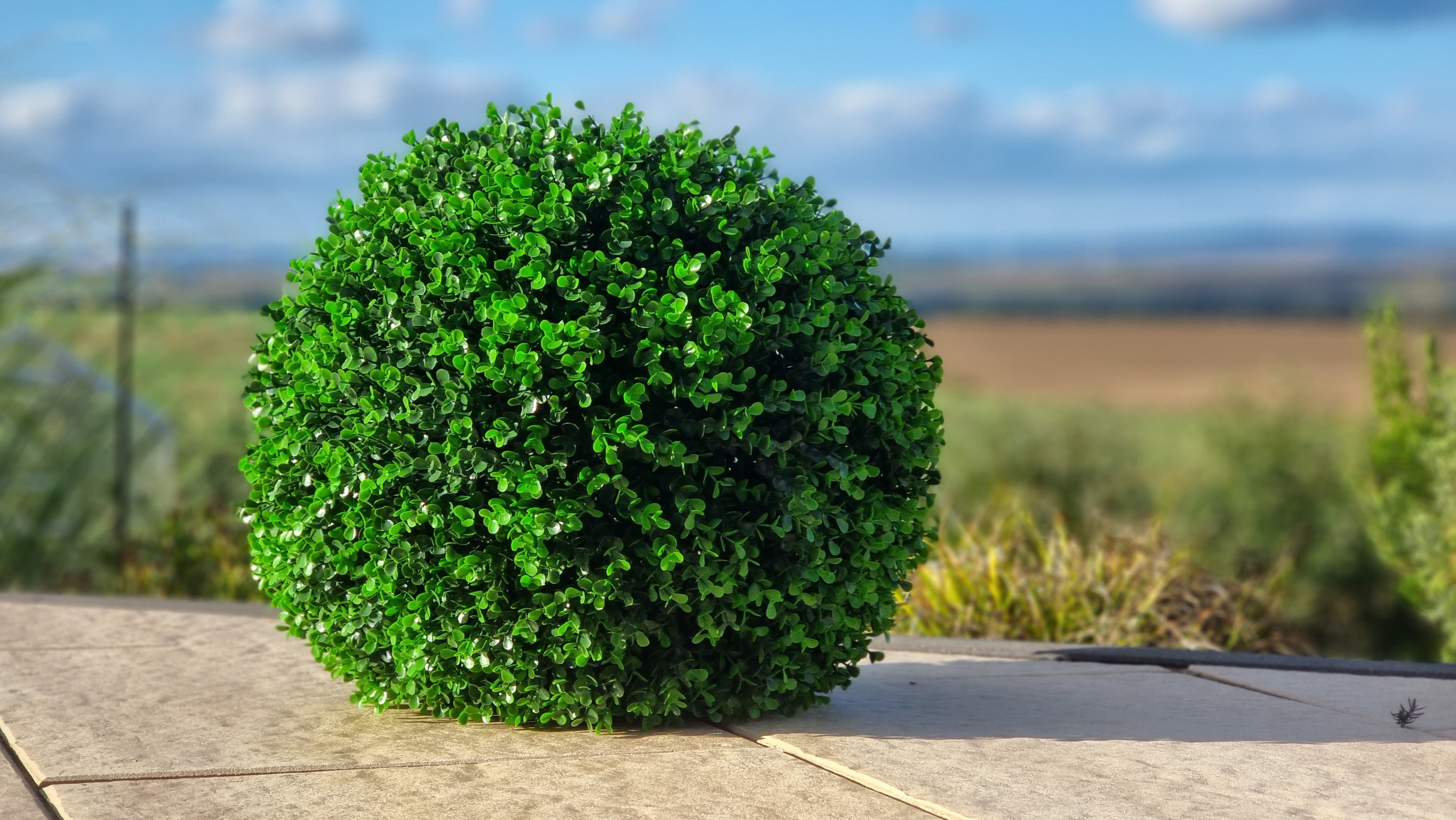 Kunstpflanze Buchsbaum Deko Kugel aus Kunststoff Künstliche Pflanze versch. günstig online kaufen