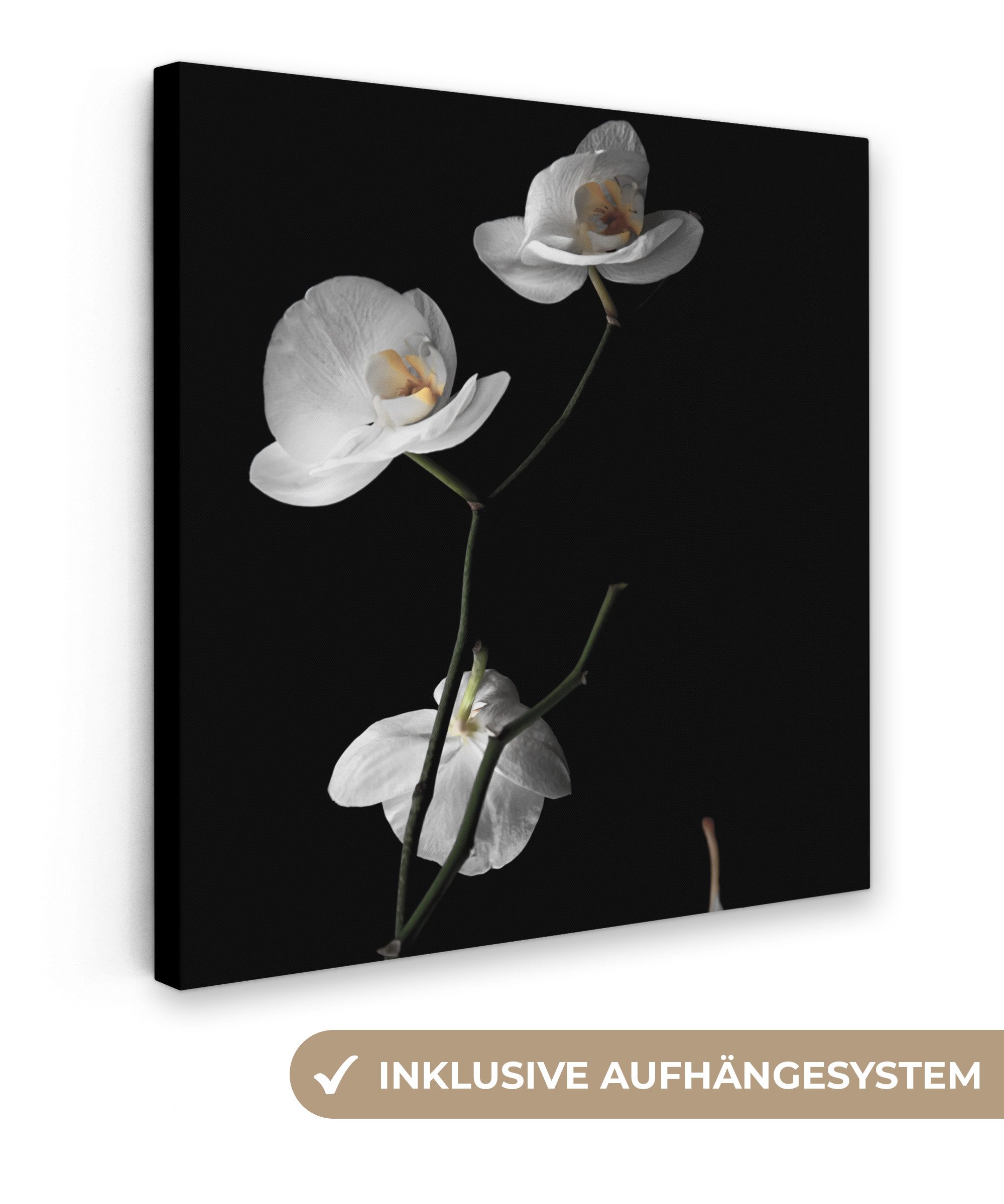 OneMillionCanvasses® Leinwandbild Orchidee - Blumen - Schwarz - Weiß - Stil günstig online kaufen