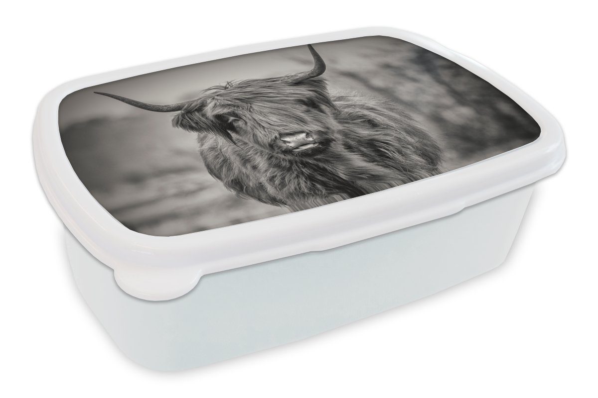 MuchoWow Lunchbox Schottischer Highlander - Schwarz und Weiß, Kunststoff, (2-tlg), Brotbox für Kinder und Erwachsene, Brotdose, für Jungs und Mädchen | Lunchboxen