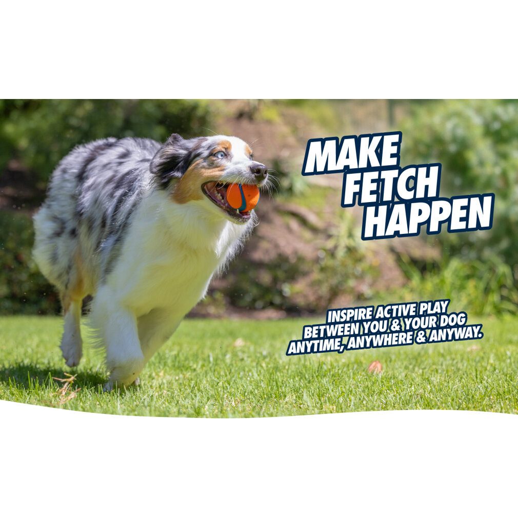 Chuckit Tierball Fetch Ball L 7 cm 1 Pack