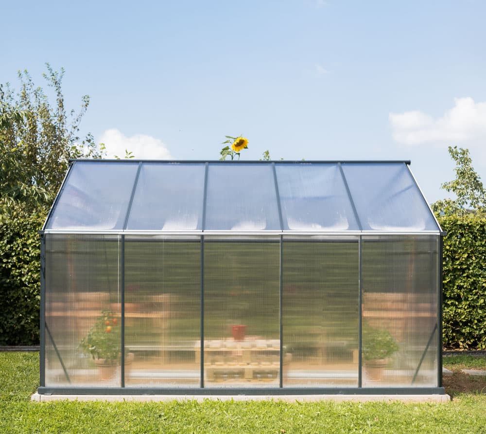 Gampre Gewächshaus, x 208...