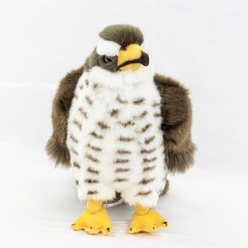 Teddys Rothenburg Kuscheltier Kuscheltier Falke 23 cm braun/grau/weiß Plüschvogel