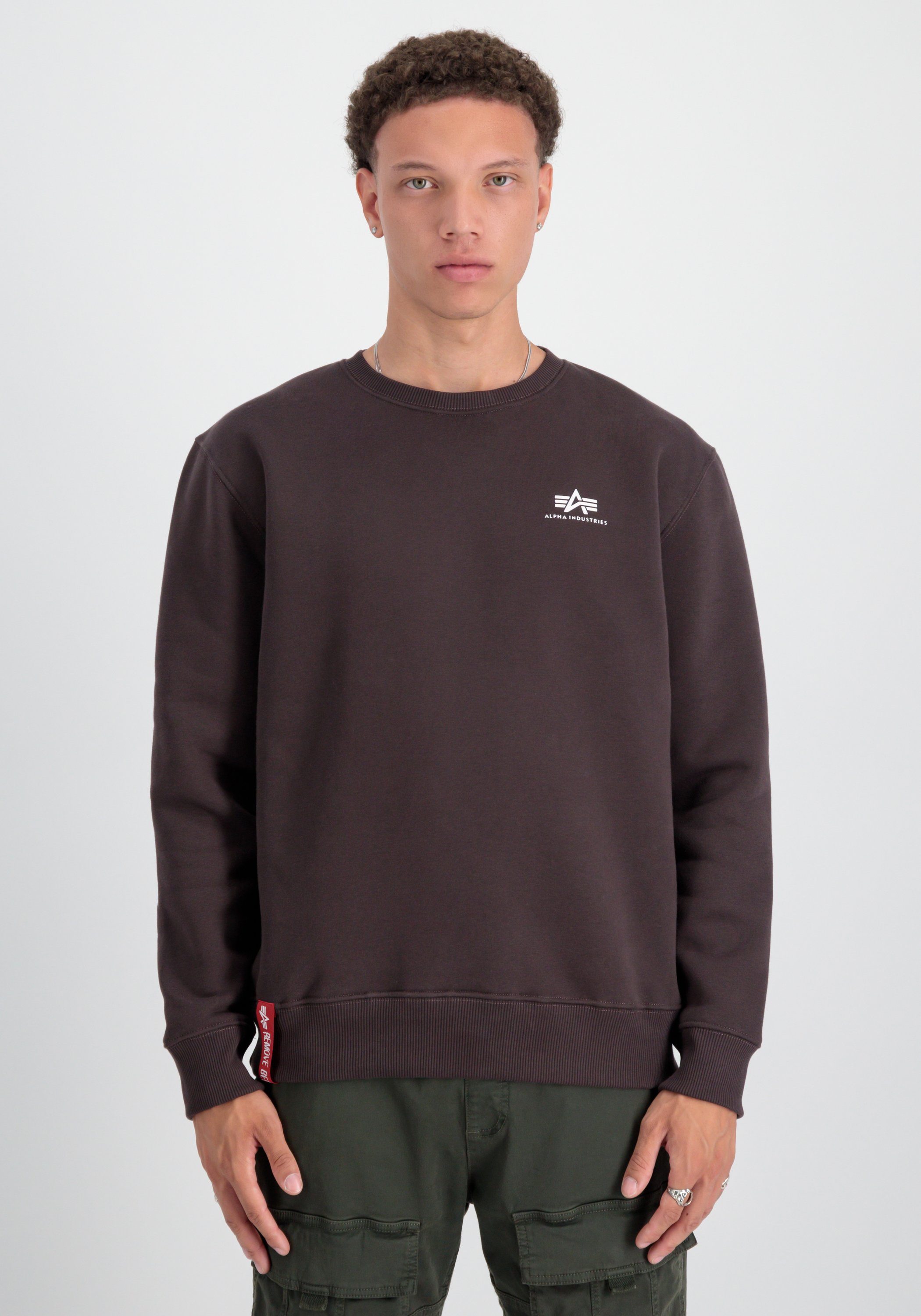 Alpha Industries Sweater Alpha brown Sweater - Sweatshirts Men Basic Industries Logo Small hunter