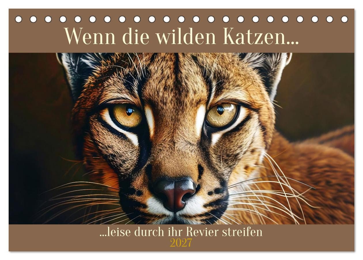 CALVENDO Wandkalender Wenn die wilden Katzen leise durch ihr Revier streifen (Tischkalender