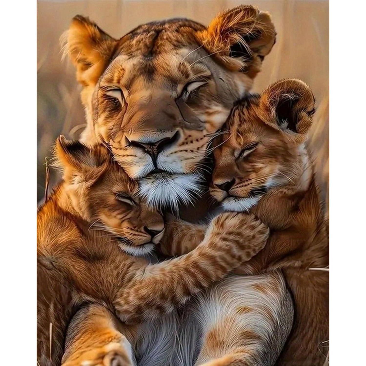 LuxusKollektion Malen nach Zahlen Malen nach Zahlen Erwachsene Tiger Motiv (1-St)