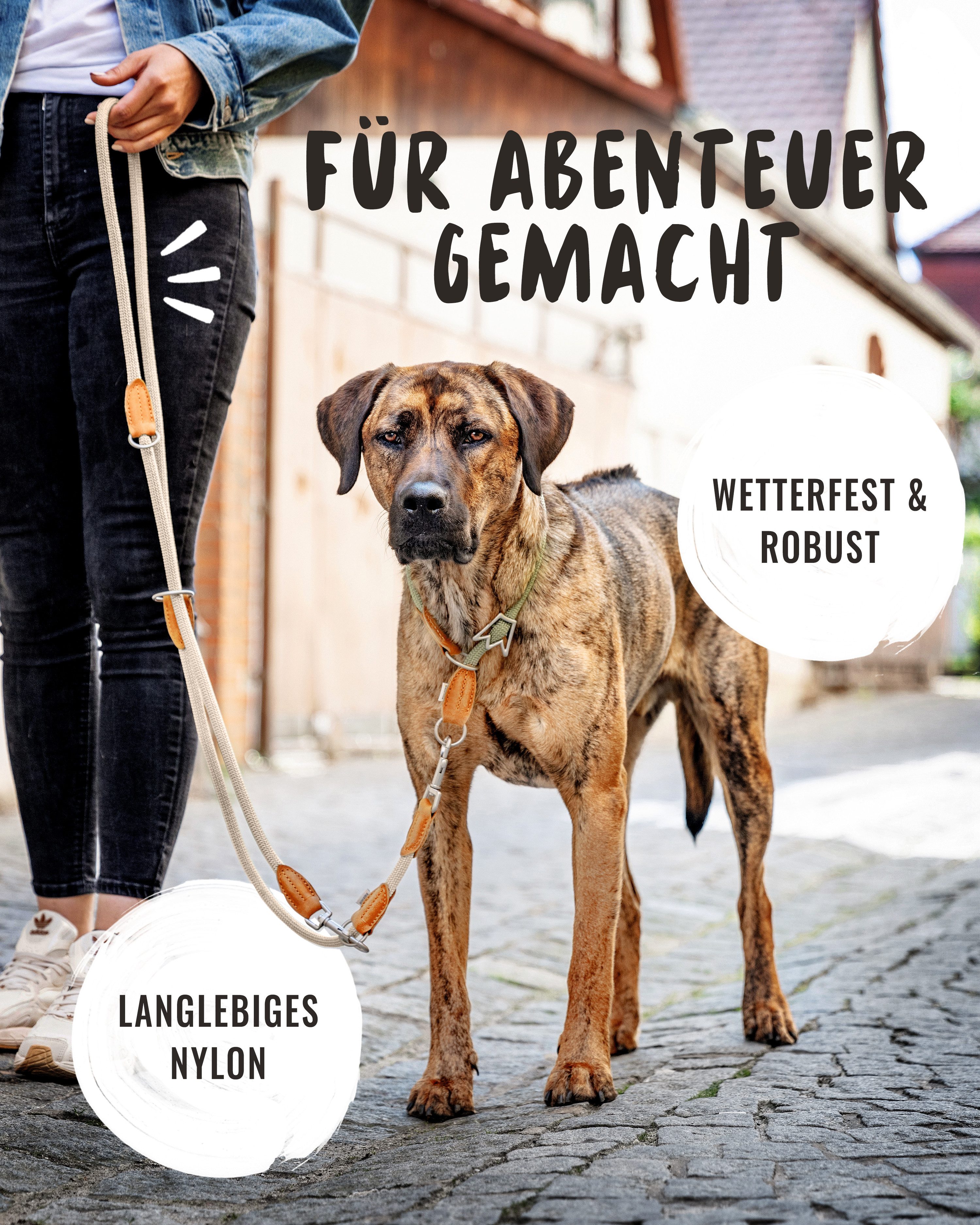 Rudelkönig Hundeleine Hundeleine 2,25m mit Leder, Elegante Führleine für große Hunde, Leder, Polyester (1-tlg), 3-fach verstellbare Tauleine