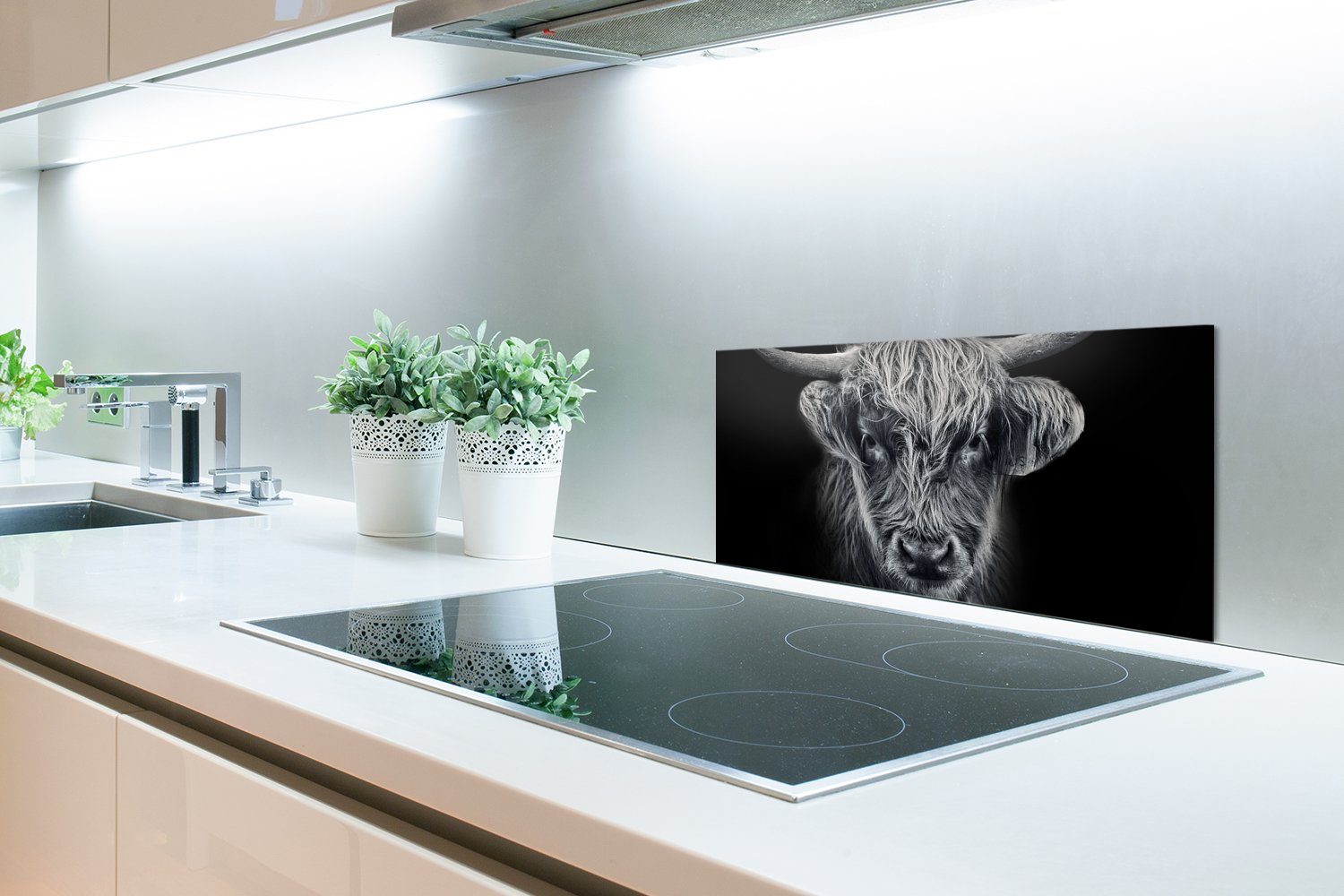 gegen Wandschutz, Küchen Schottischer Schmutzflecken Küchenrückwand Tiere, Schwarz Highlander - - MuchoWow cm, (1-tlg), und - Kuh 60x30 Fett für