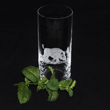 Bohemia Crystal Glas Barline, Kristallglas, veredelt mit Gravur, 6-teilig, Inhalt 300 ml, Wasserglas-Set
