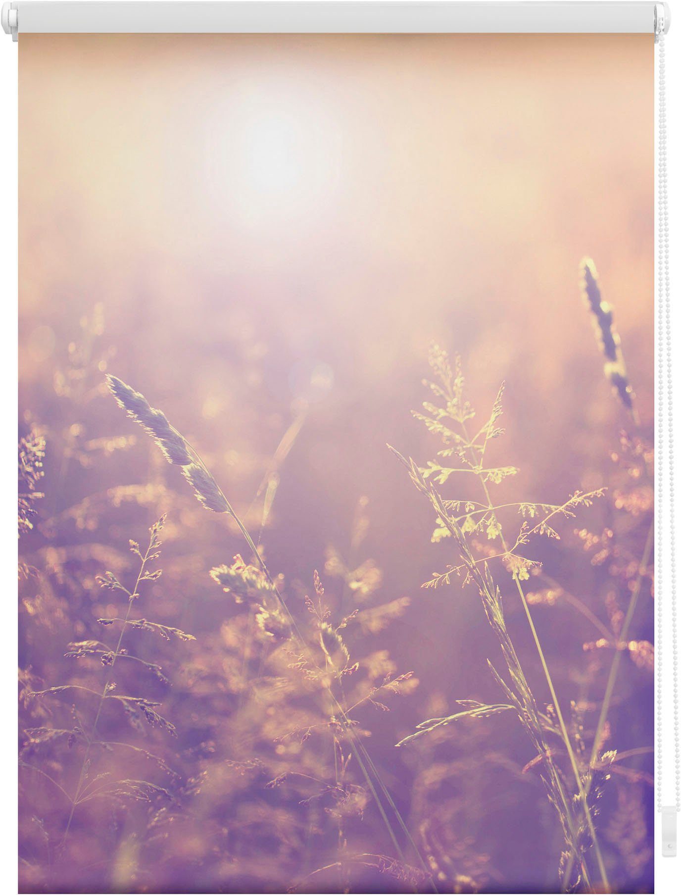 Seitenzugrollo Rollo Klemmfix, ohne Bohren, Verdunkelung, Sommerabend - Orange, LICHTBLICK ORIGINAL, verdunkelnd, freihängend, Klemmfix