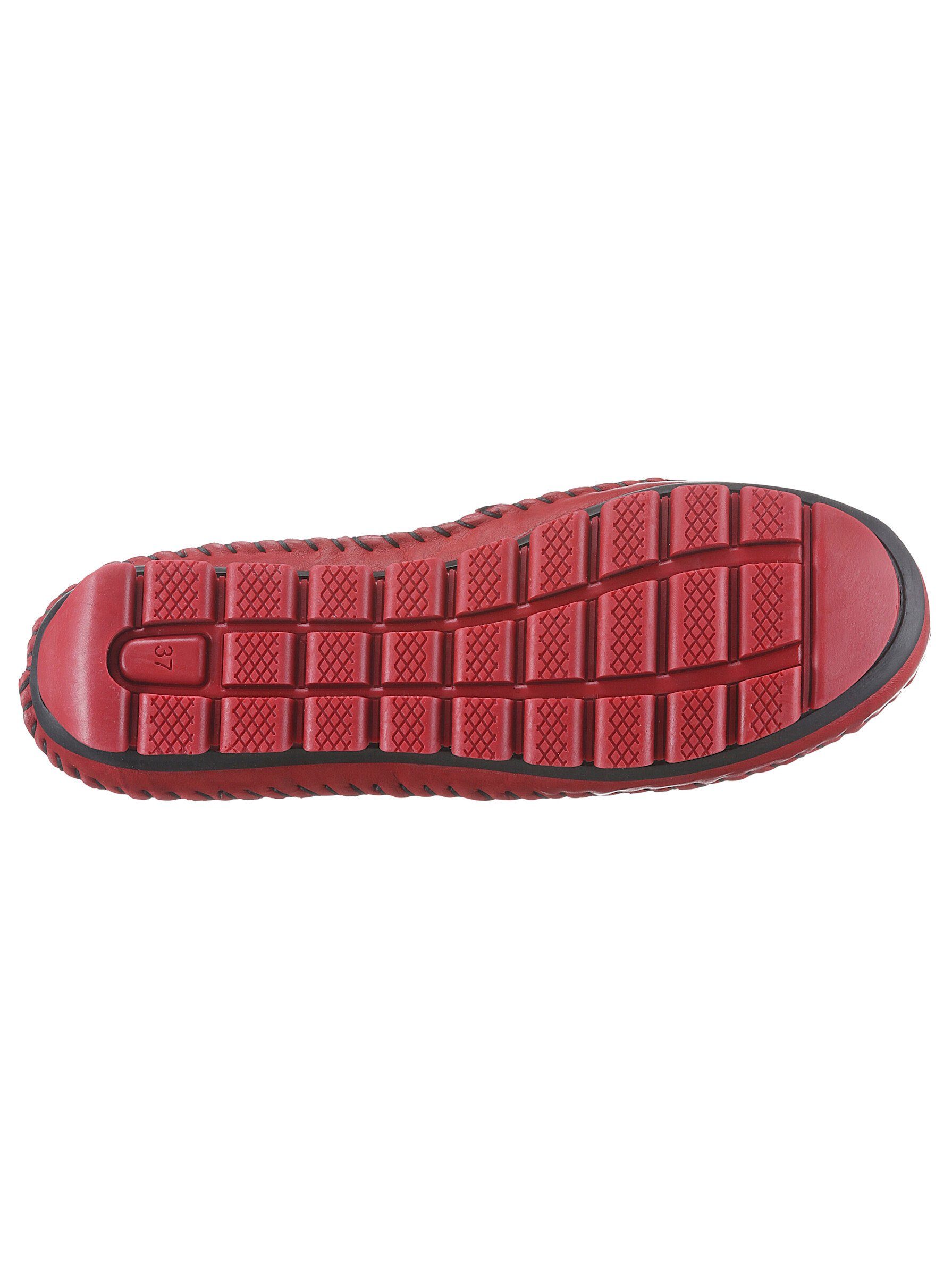 Slipper Gemini rot