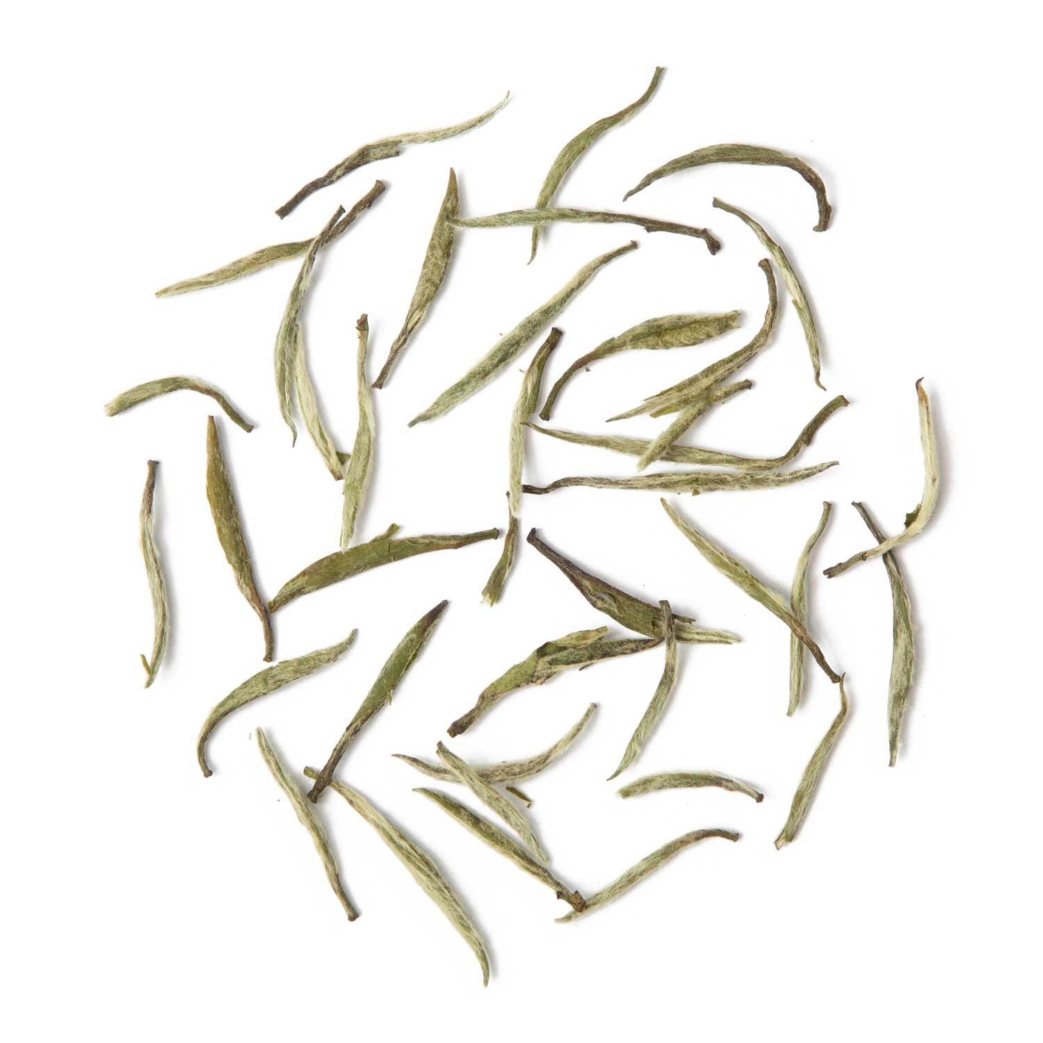 tea exclusive Tee Silver Needle Authentic, Weißer Tee, China, 50g, Sanft, klar und ausgewogen mit feiner Süße, begleitet von zarten Noten