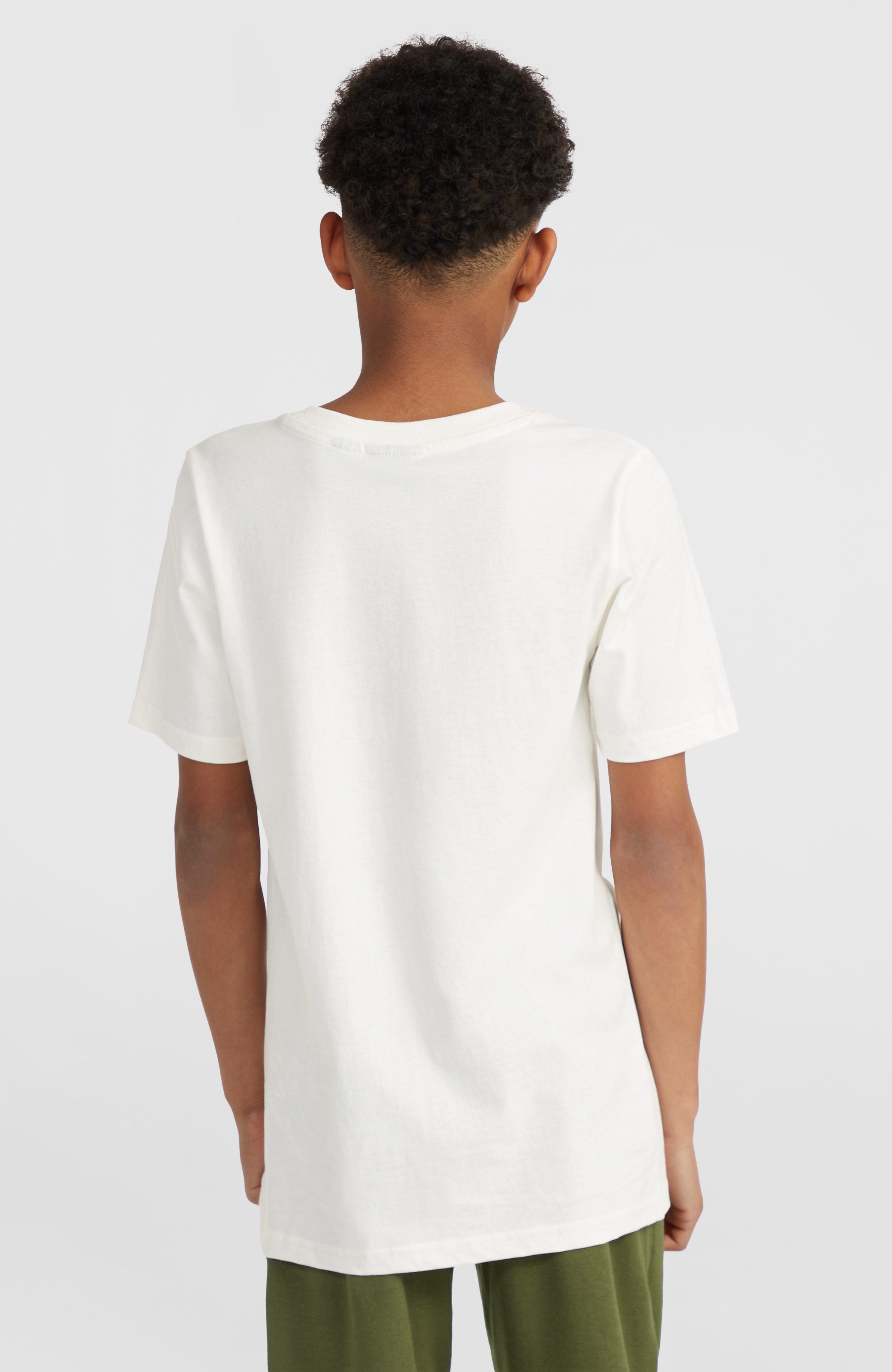O'Neill T-Shirt O'NEILL WAVE T-SHIRT mit günstig online kaufen