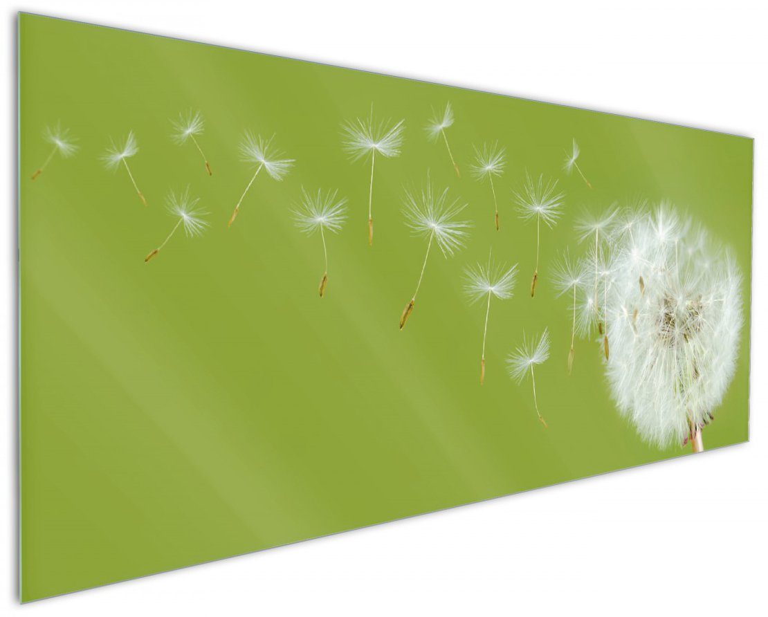 Wallario Küchenrückwand Pusteblume auf der Wiese mit fliegenden Samen, (1-tlg)