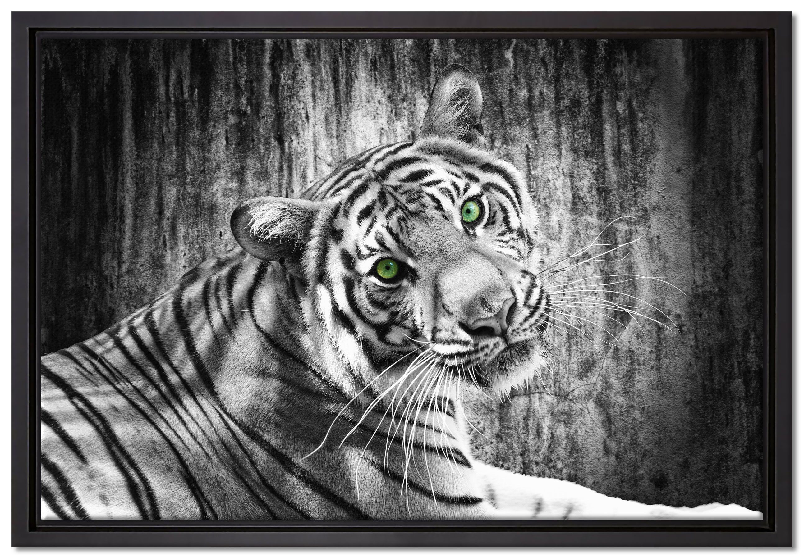 Pixxprint Leinwandbild schöner neugieriger Tiger, Wanddekoration (1 St), Leinwandbild fertig bespannt, in einem Schattenfugen-Bilderrahmen gefasst, inkl. Zackenaufhänger