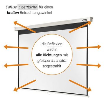 Celexon Professional Rolloleinwand (234 x 176cm, 4:3, Gain 1,2)