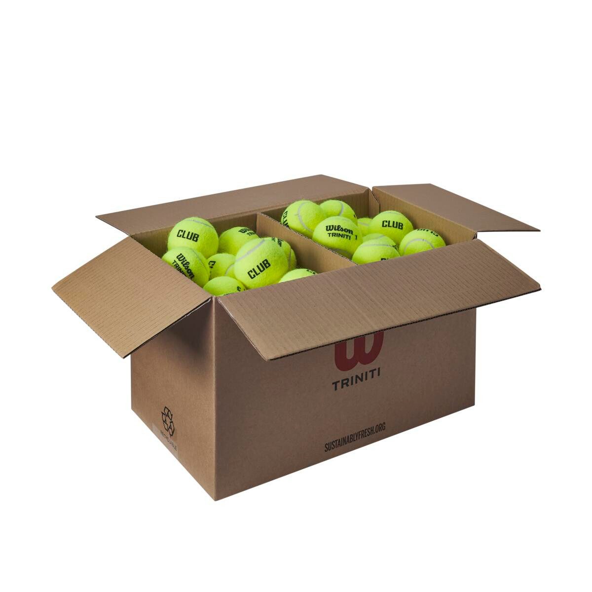 Tennisball Triniti Club Training (drucklos) 72er im Karton