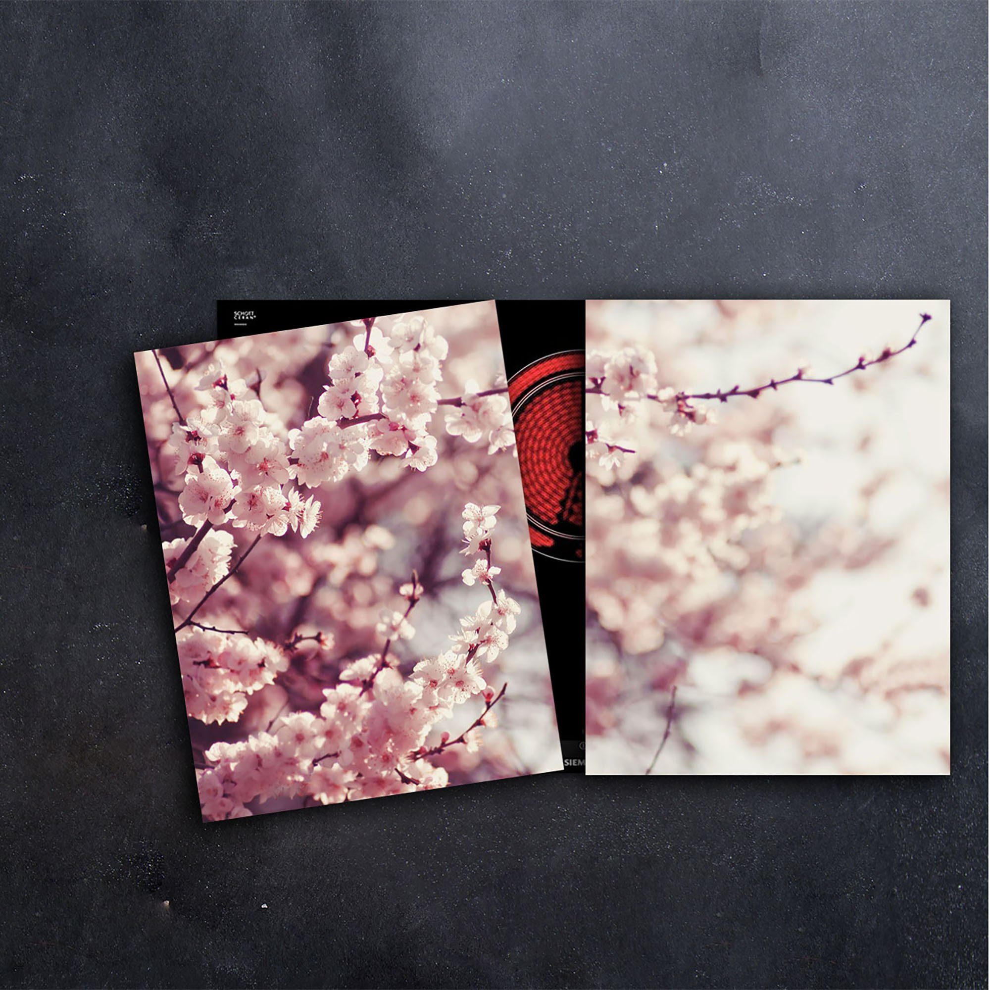 Blumen 2-teilig 80x52 Decorwelt Herd-Abdeckplatte Kirschblüte Ceranfeldabdeckung Pink