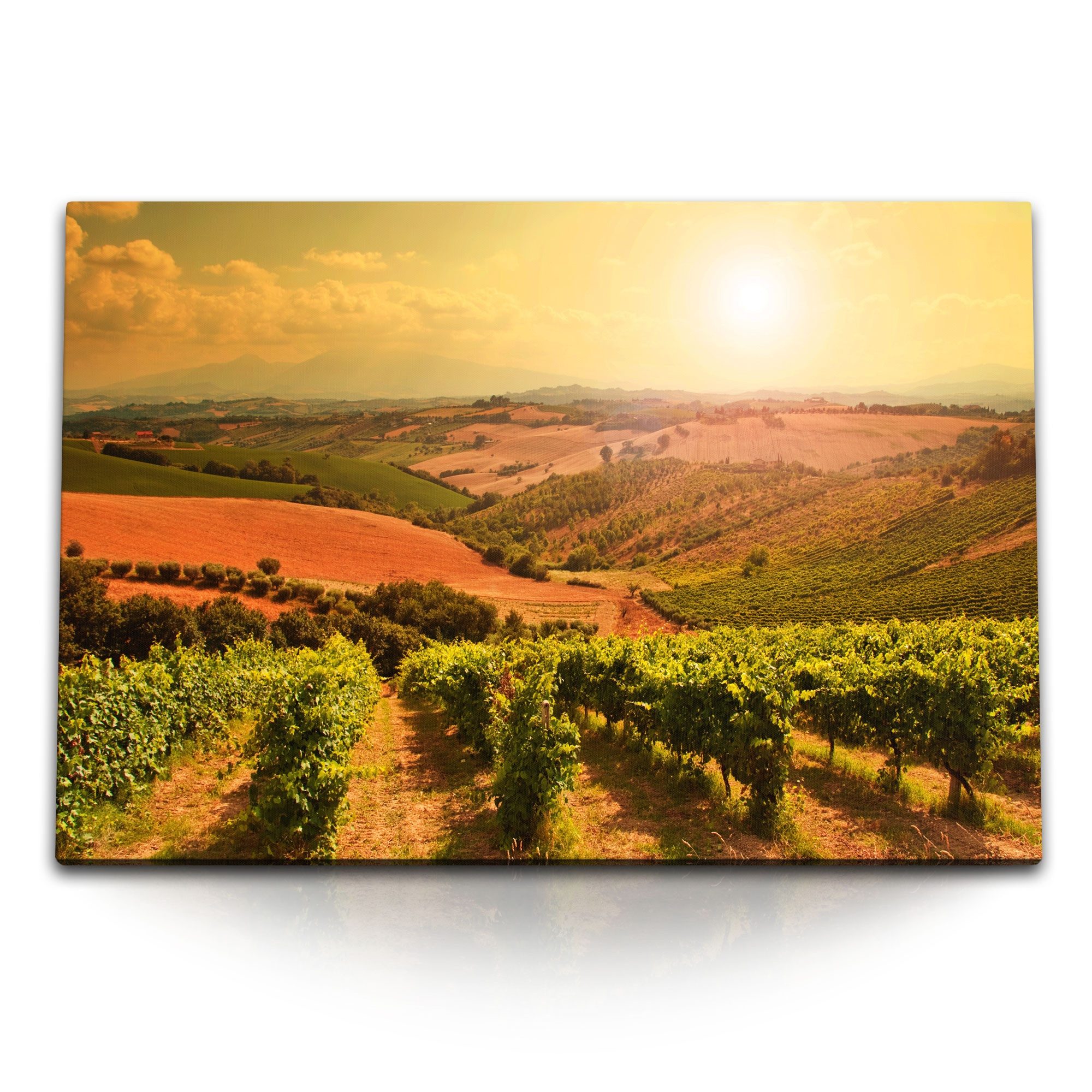 Leinwandbild 120x80cm Wandbild auf Leinwand Weinfelder Weinreben Natur Landschaft S