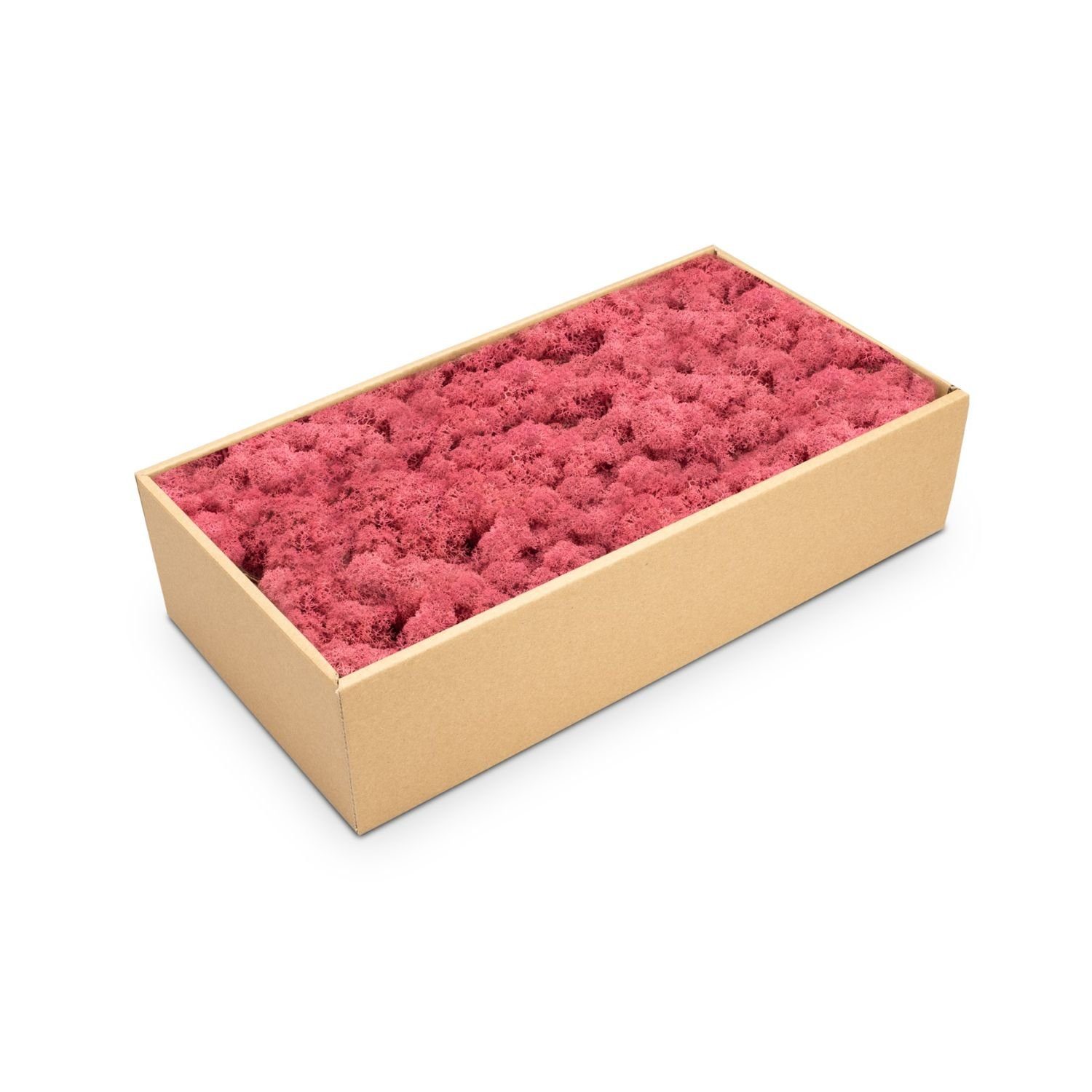 NaDeco Bastelnaturmaterial Islandmoos Erika 500g