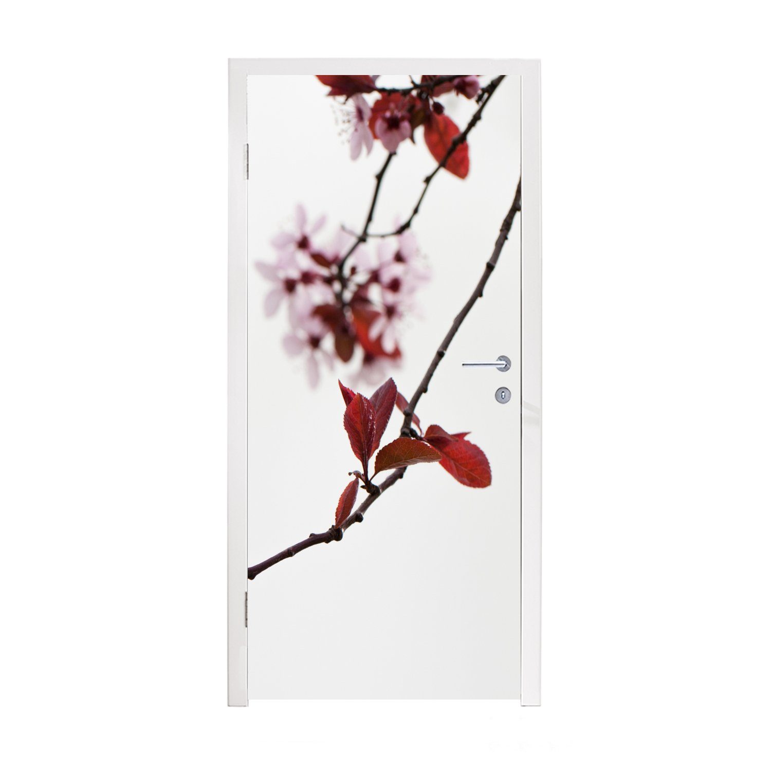 MuchoWow Türtapete Blumen - Blüte Kirschbaum, (1 cm St), bedruckt, für Matt, Türaufkleber, Fototapete 75x205 - Tür