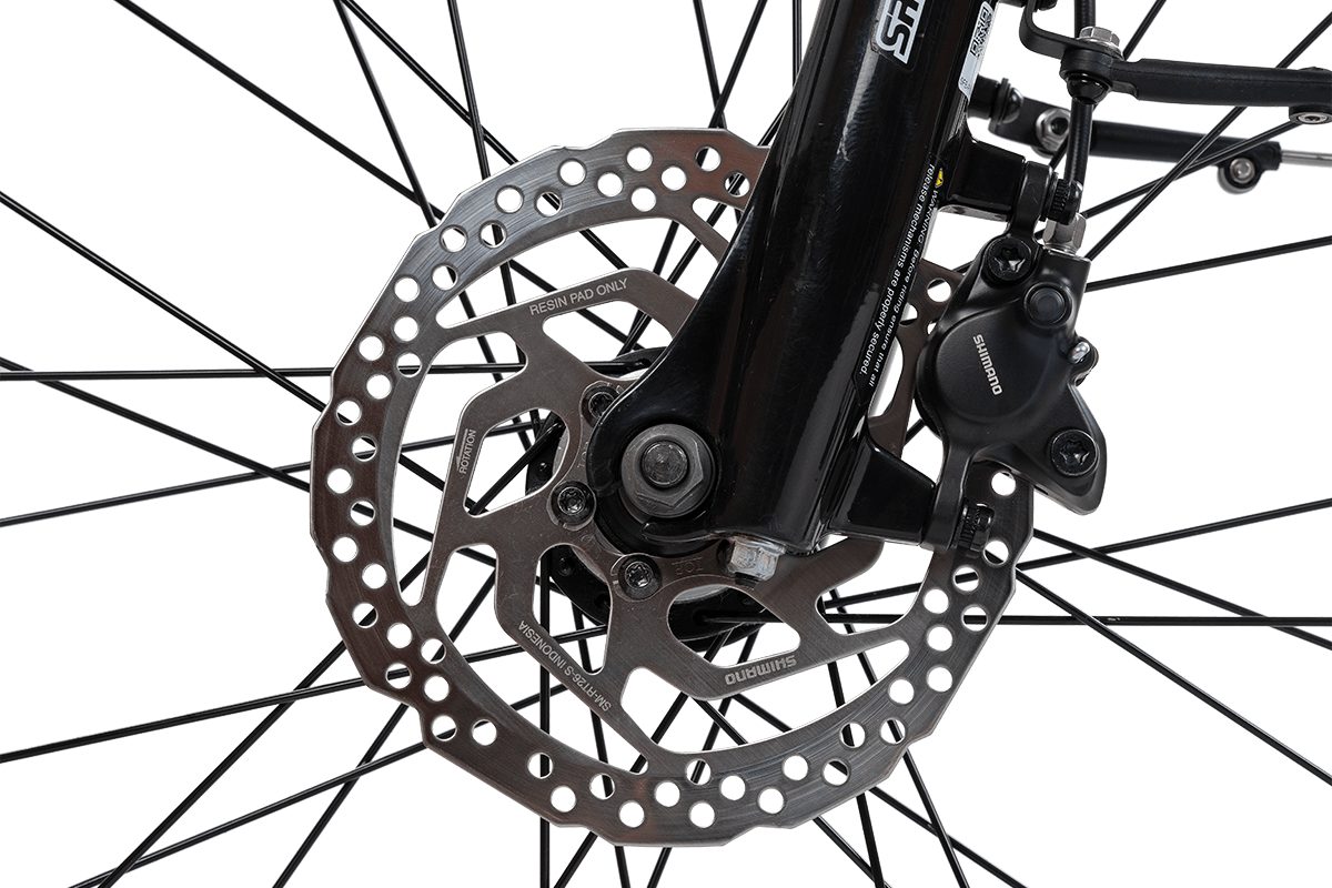 Rabeneick E-Bike Rabeneick Comfort, Enviolo HD-148 Schaltwerk, Mittelmotor, 522 Wh