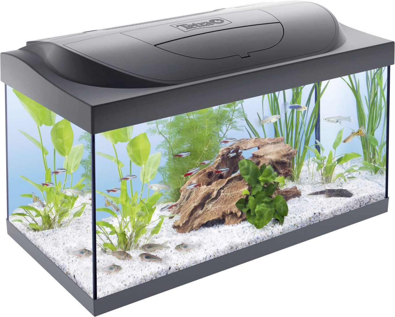Aquarien-Set Tetra Starter Line Aquarium Set mit LED