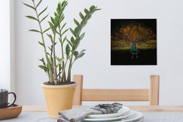 OneMillionCanvasses® Leinwandbild Pfau - Federn - Nacht, (1 St), Leinwand Bilder für Wohnzimmer Schlafzimmer