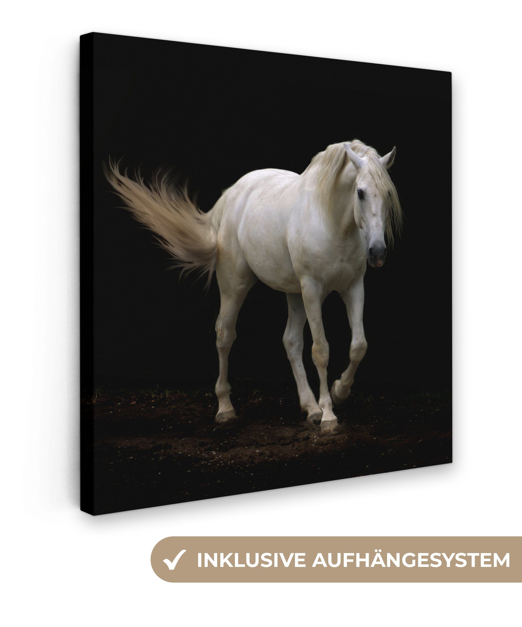 OneMillionCanvasses® Leinwandbild Pferde - Nutztiere - Schwarz, (1 St), Leinwand Bilder für Wohnzimmer Schlafzimmer, 20x20 cm