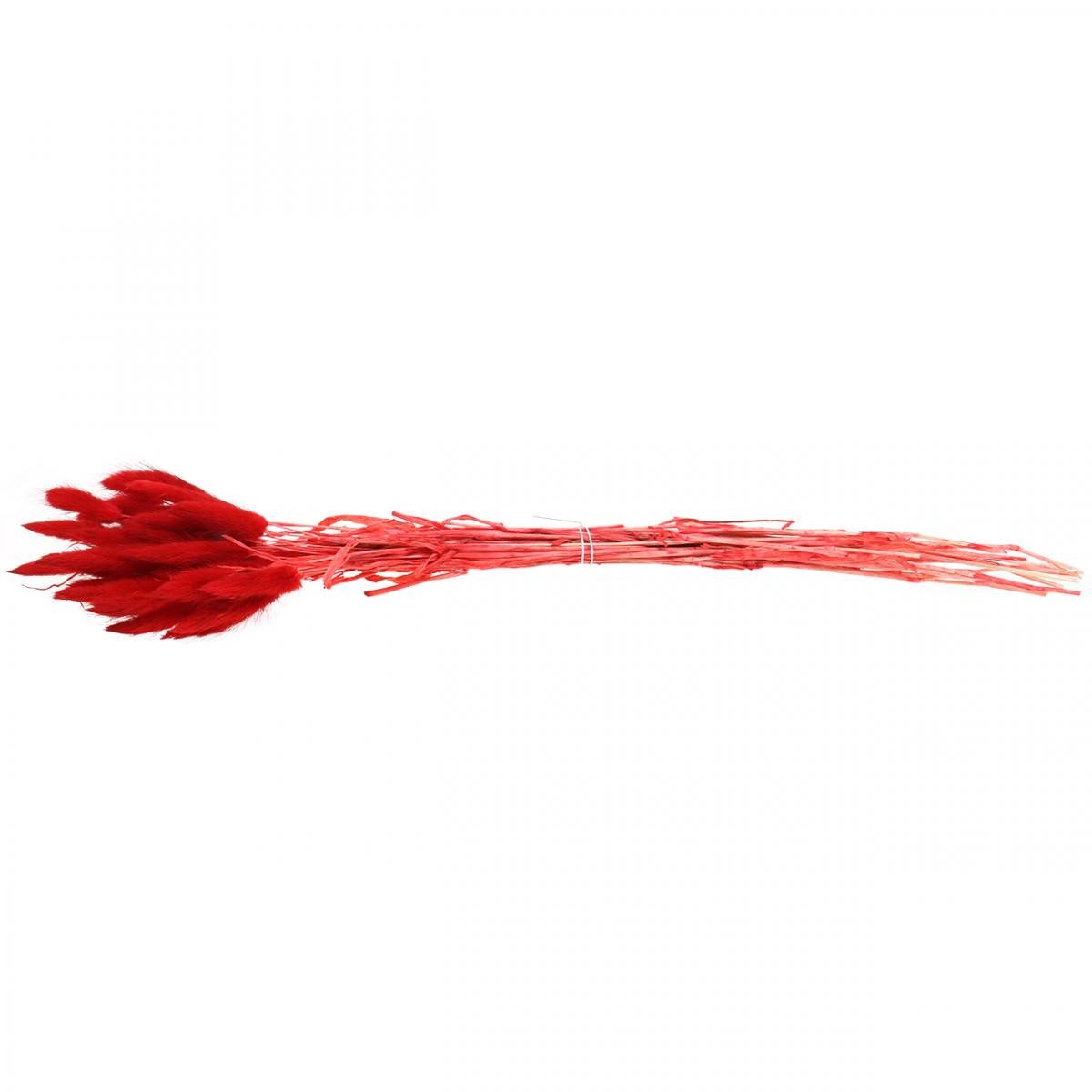 Trockenblume Dekoratives Trocken-Gras für Floristik und Raumgestaltung, Florists Products, Höhe 50 cm