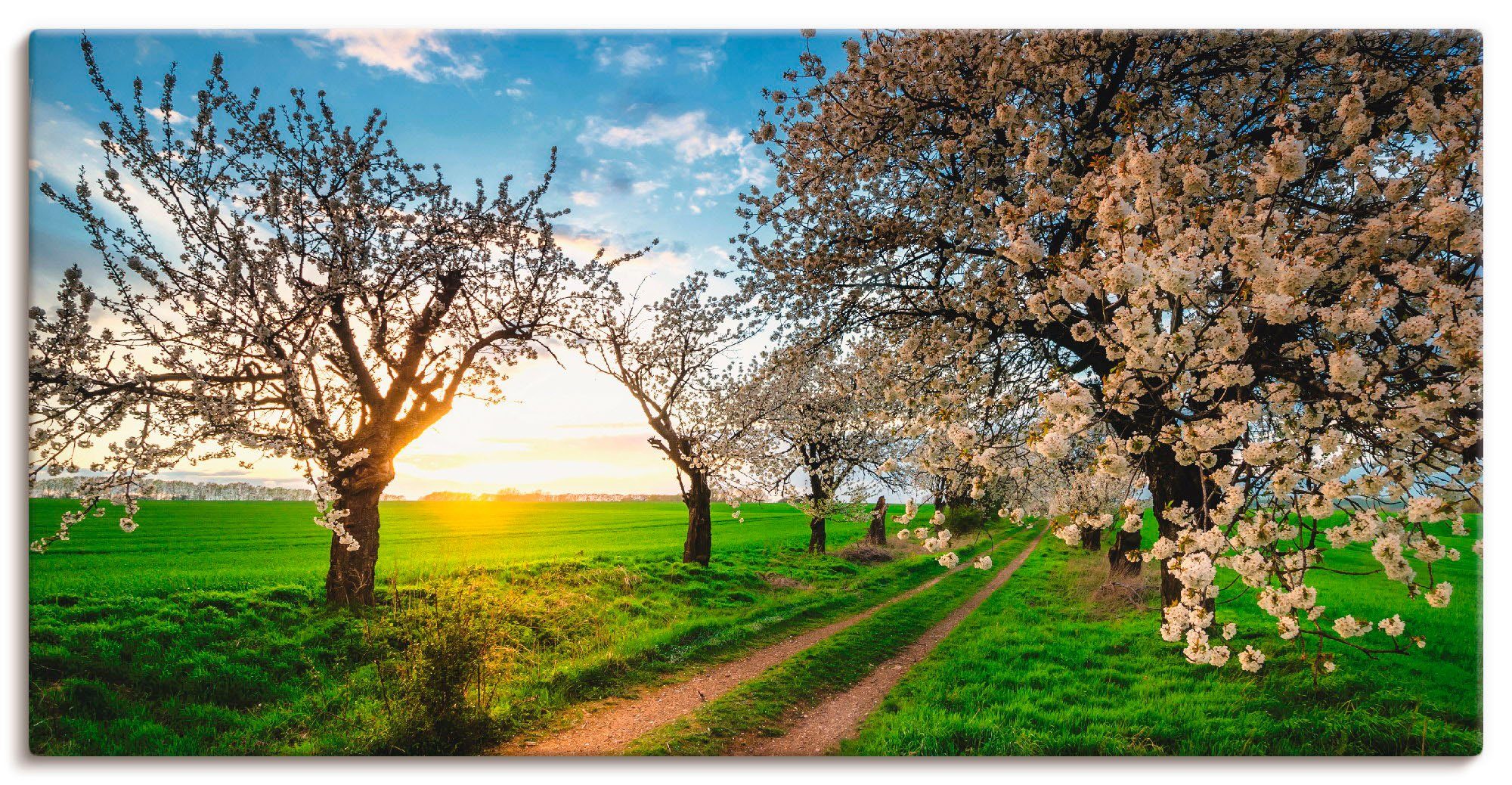 Artland Leinwandbild Kirschallee, Felder (1 St), auf Holzrahmen gespannt