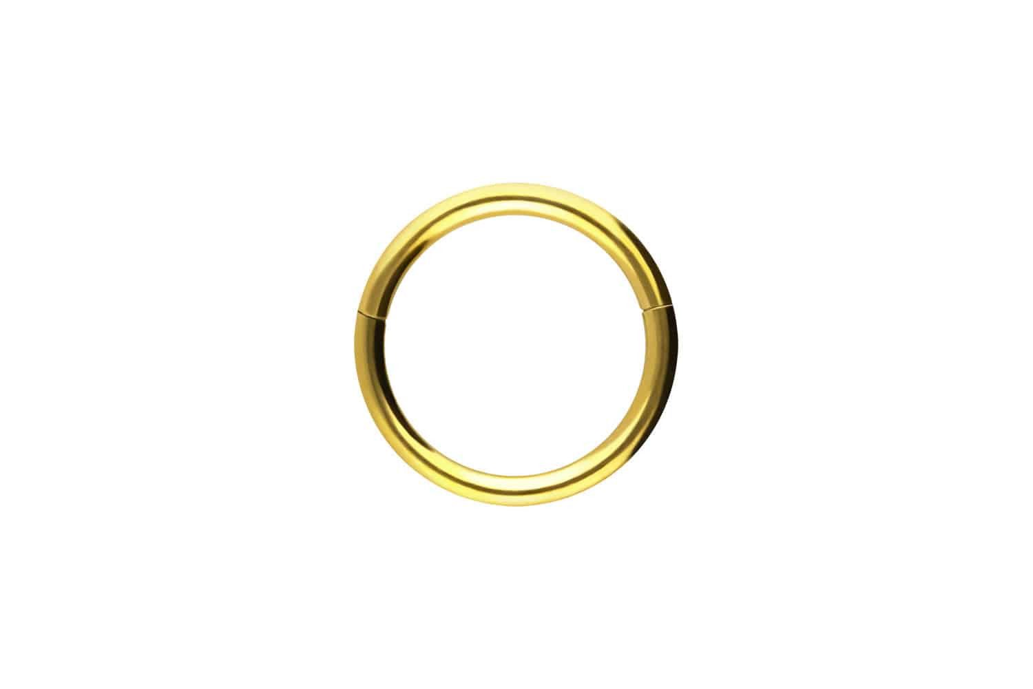 PIERCINGLINE Nasenpiercing Chirurgenstahl Segmentring Clicker Ohrpiercing S günstig online kaufen