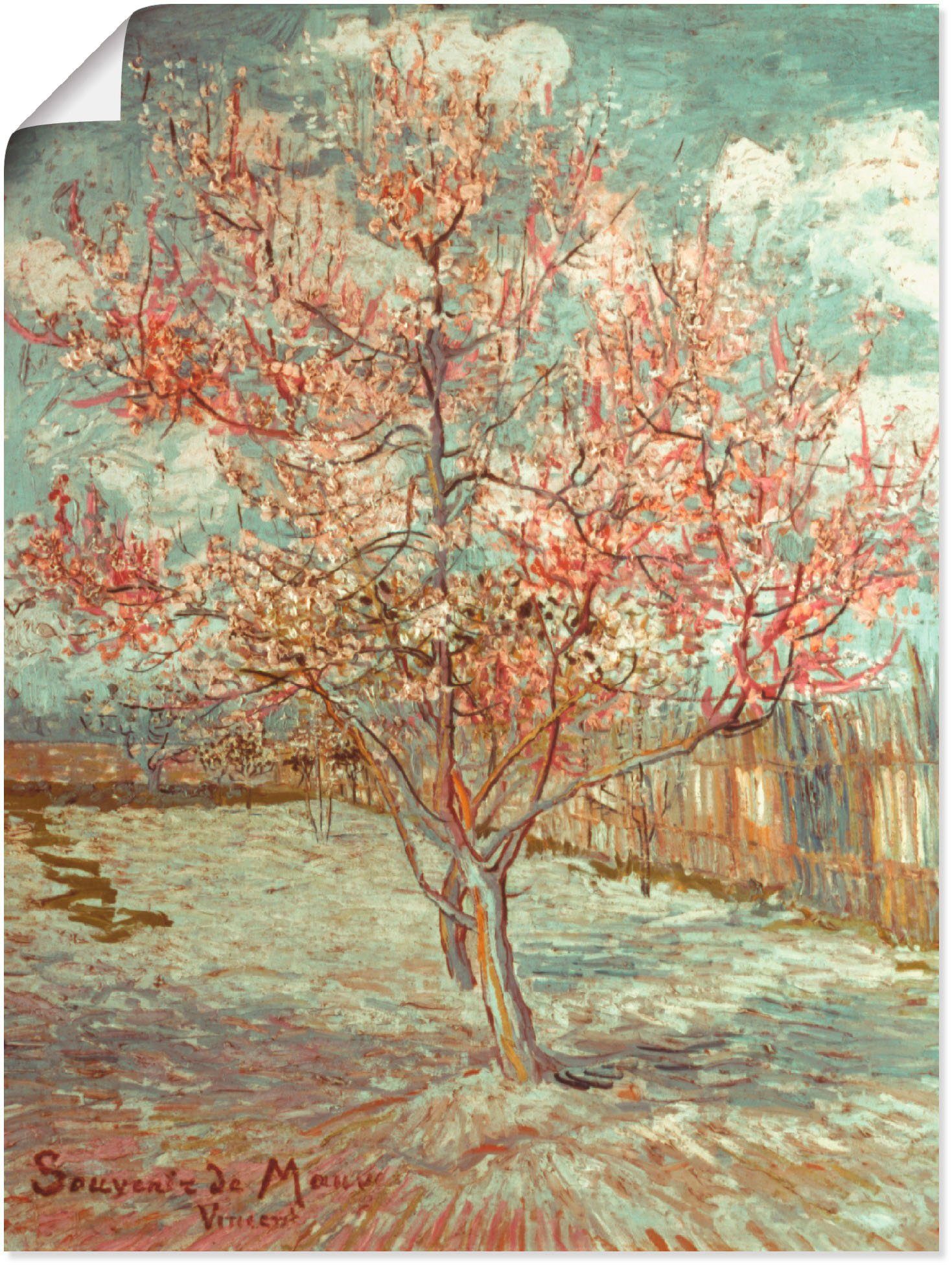Artland Wandbild Blühender Pfirsichbaum, 1888, Wiesen & Bäume (1 St), als Alubild, Leinwandbild, Wandaufkleber oder Poster in versch. Größen