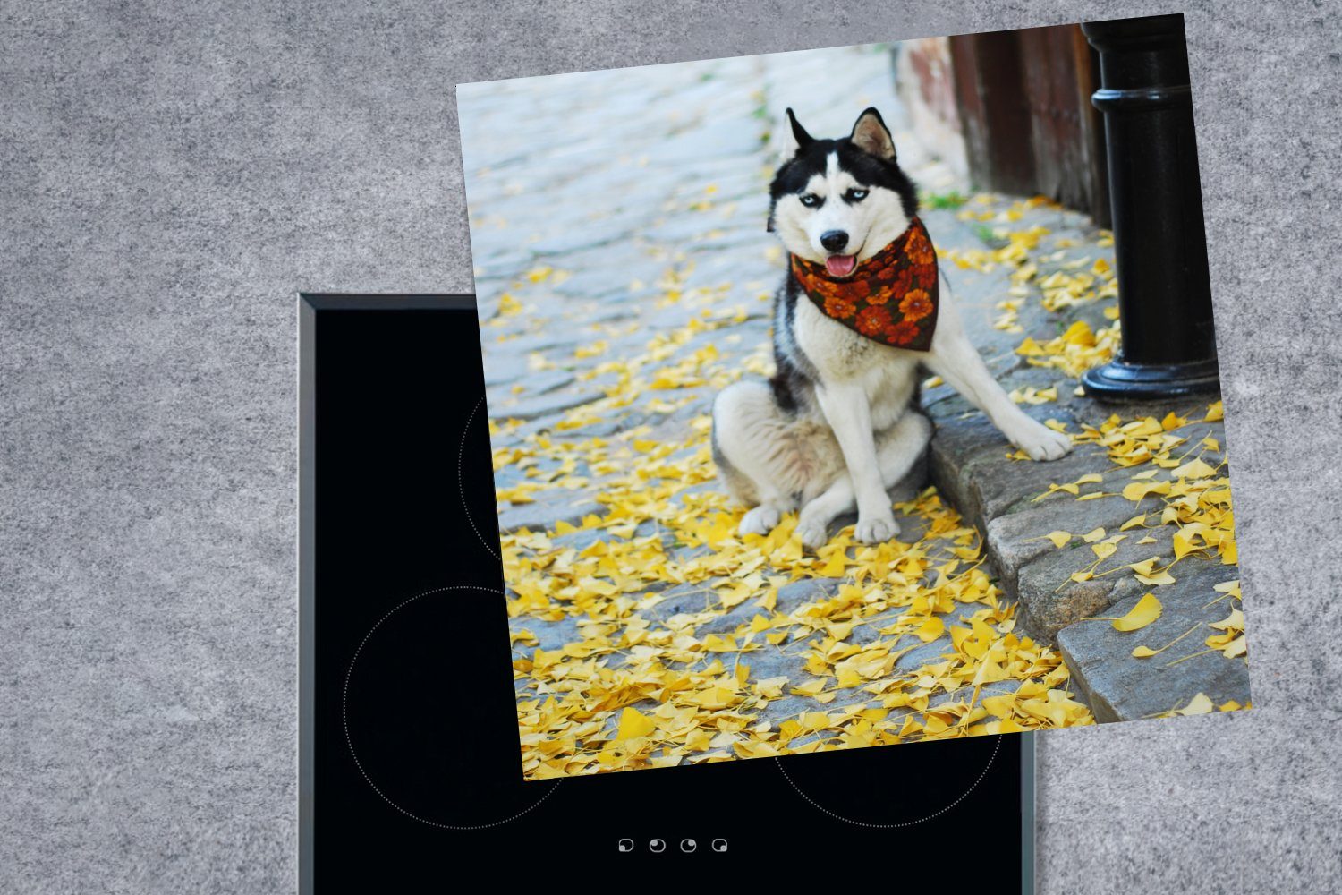 Ceranfeldabdeckung, Hund Herbst Herdblende-/Abdeckplatte für MuchoWow Vinyl, Husky, (1 tlg), küche Arbeitsplatte - cm, 78x78 -