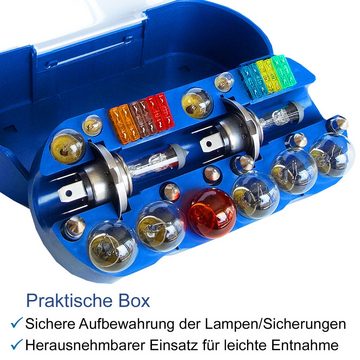 bemiX KFZ-Ersatzleuchte H4 Autolampen Set mit Sicherungen 30tlg PKW Ersatzlampenbox Auto Lampe, H4 PKW, P43t, Warmweiß, Autolampen 12 Volt