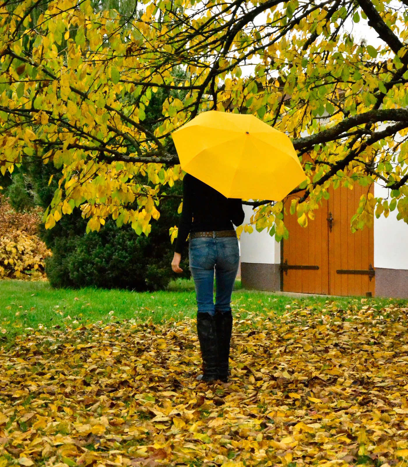 iX-brella Taschenregenschirm Mid Class - mit Auf-Zu-Automatik in vielen Farben, stabil, robust, praktisch