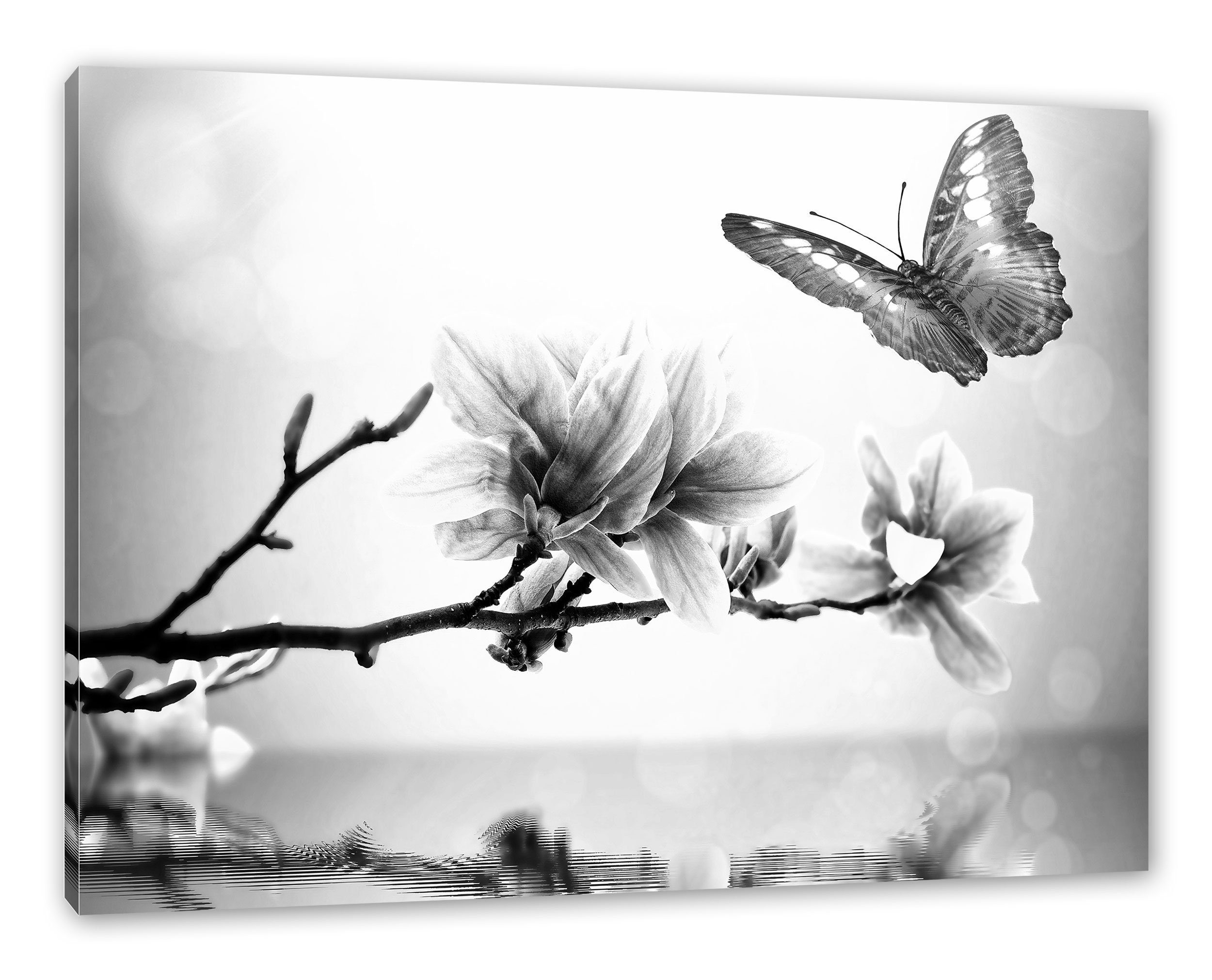 Pixxprint Leinwandbild Schmetterling mit Magnolien-Blüte, Schmetterling günstig online kaufen