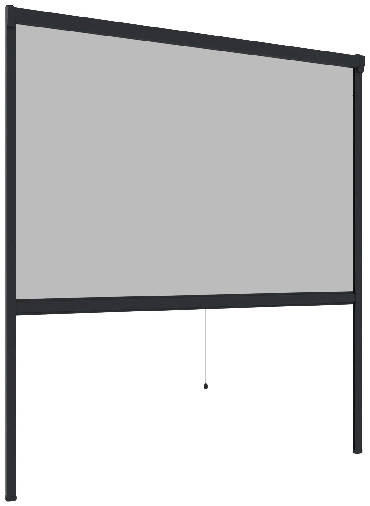 transparent, 160x160 BxH: Klemm- Schraubmontage, cm Windhager, PLUS, Insektenschutzrollo oder